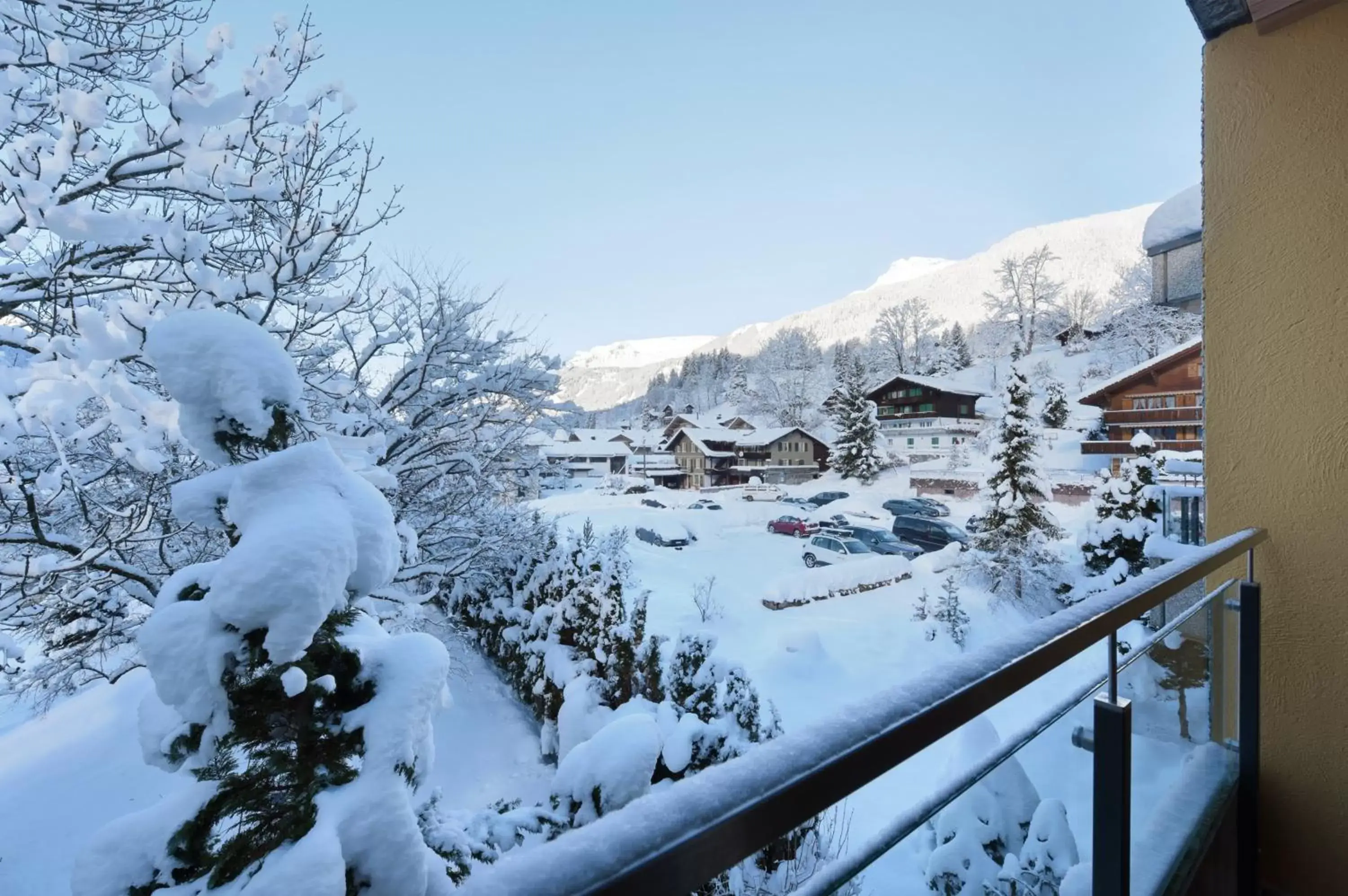 Winter in Aparthotel Eiger *** - Grindelwald