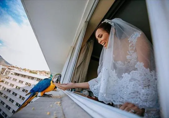 Evening entertainment in Hotel Tamanaco Caracas