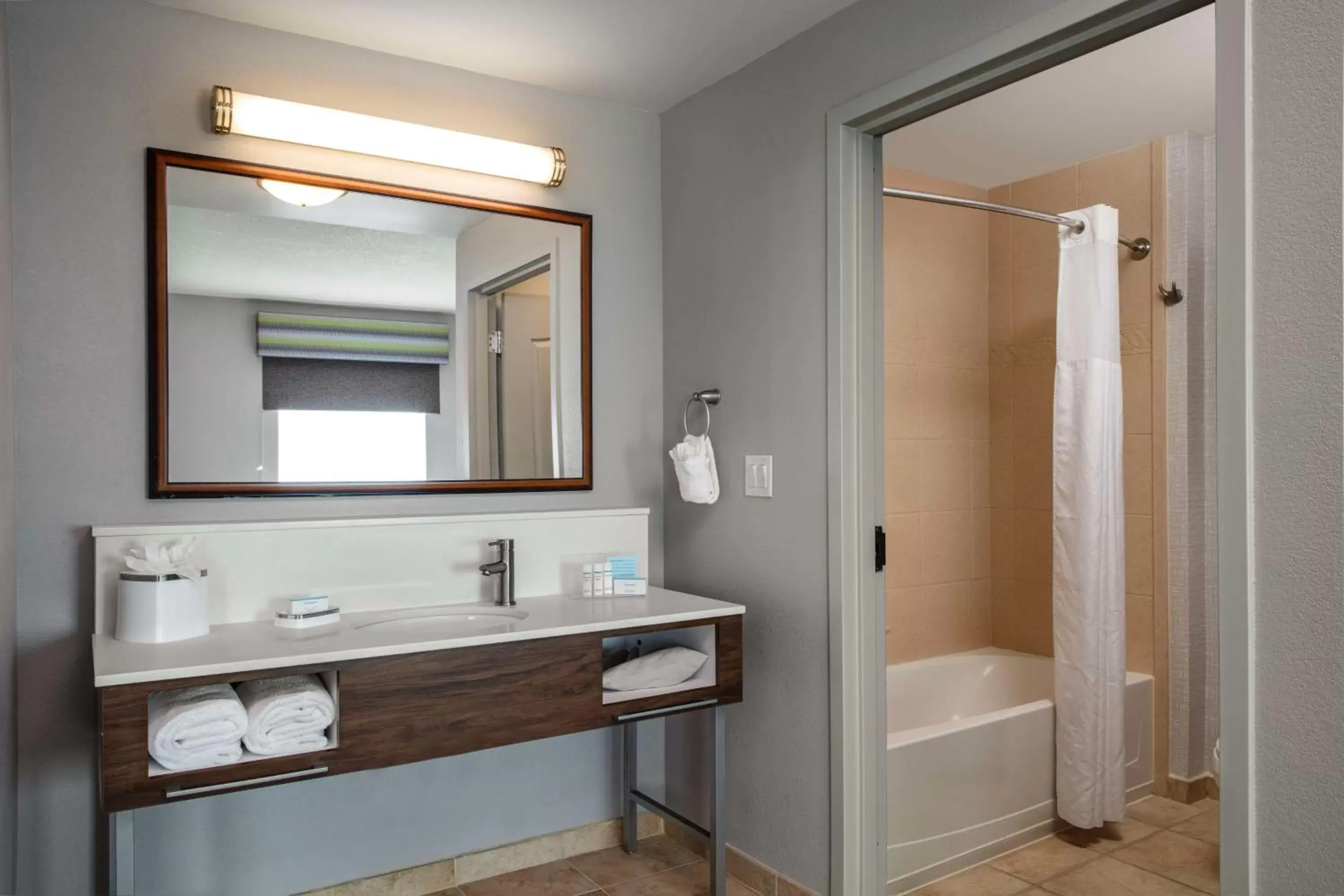 Bathroom in Hampton Inn & Suites Homestead Miami South