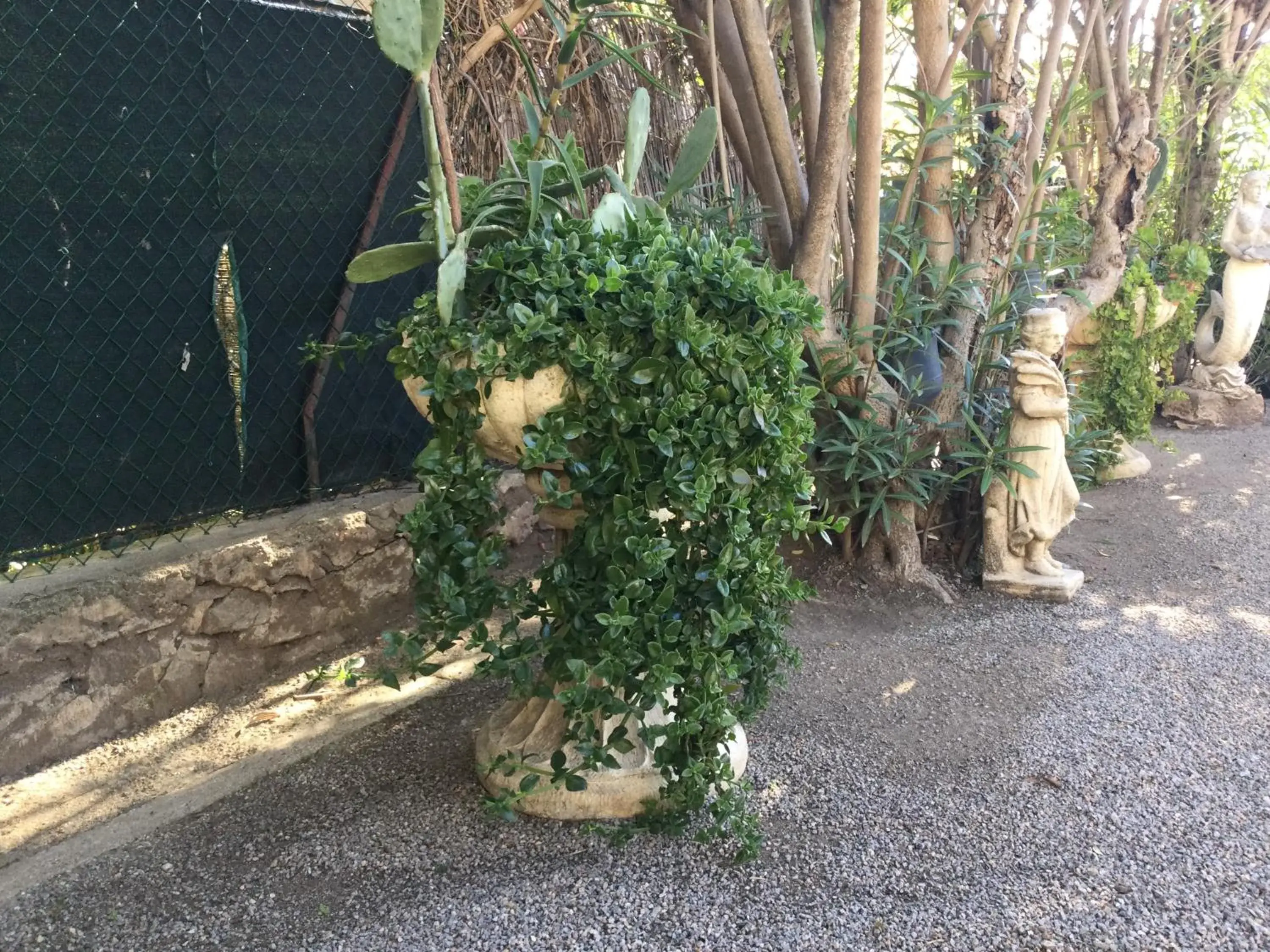 Garden in Hotel le Castellamar