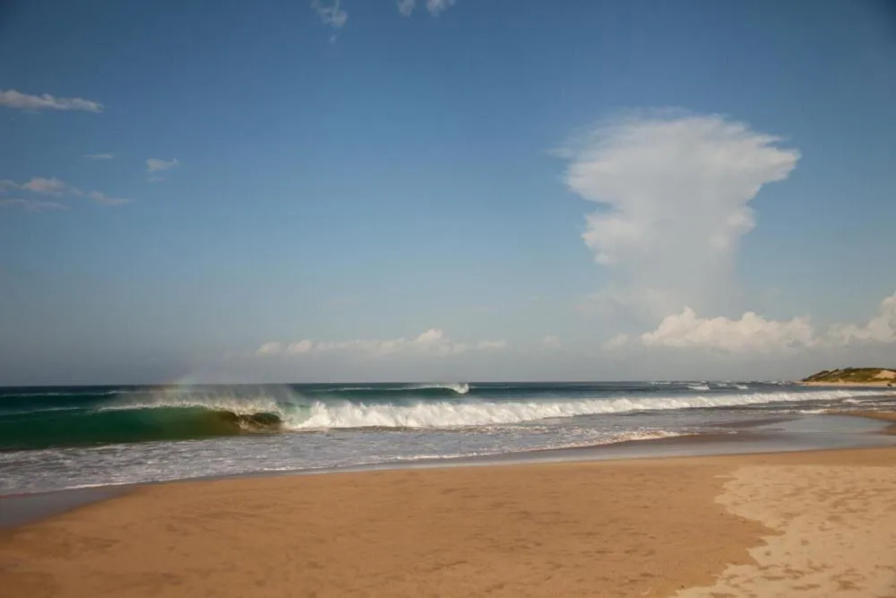 Area and facilities in Palm Beach Guesthouse