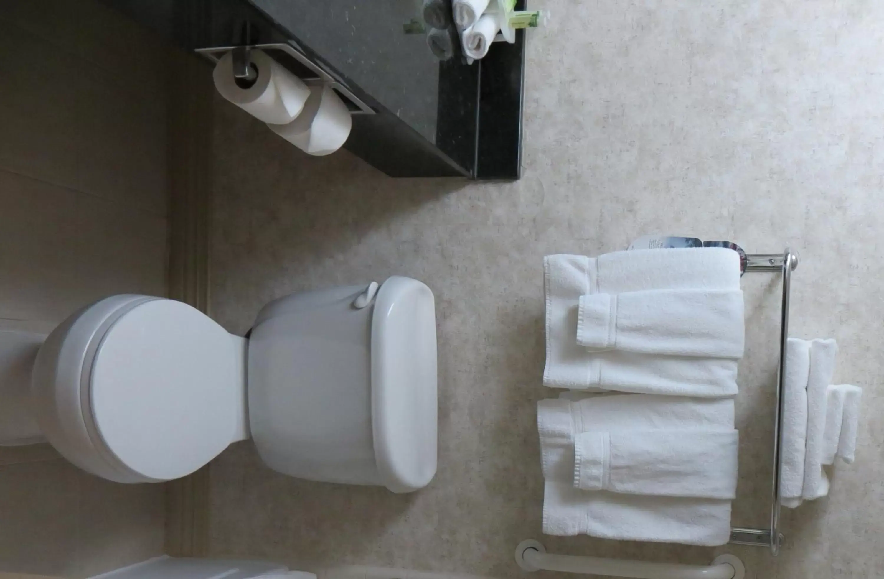 Bathroom in Holiday Inn Express & Suites George West, an IHG Hotel