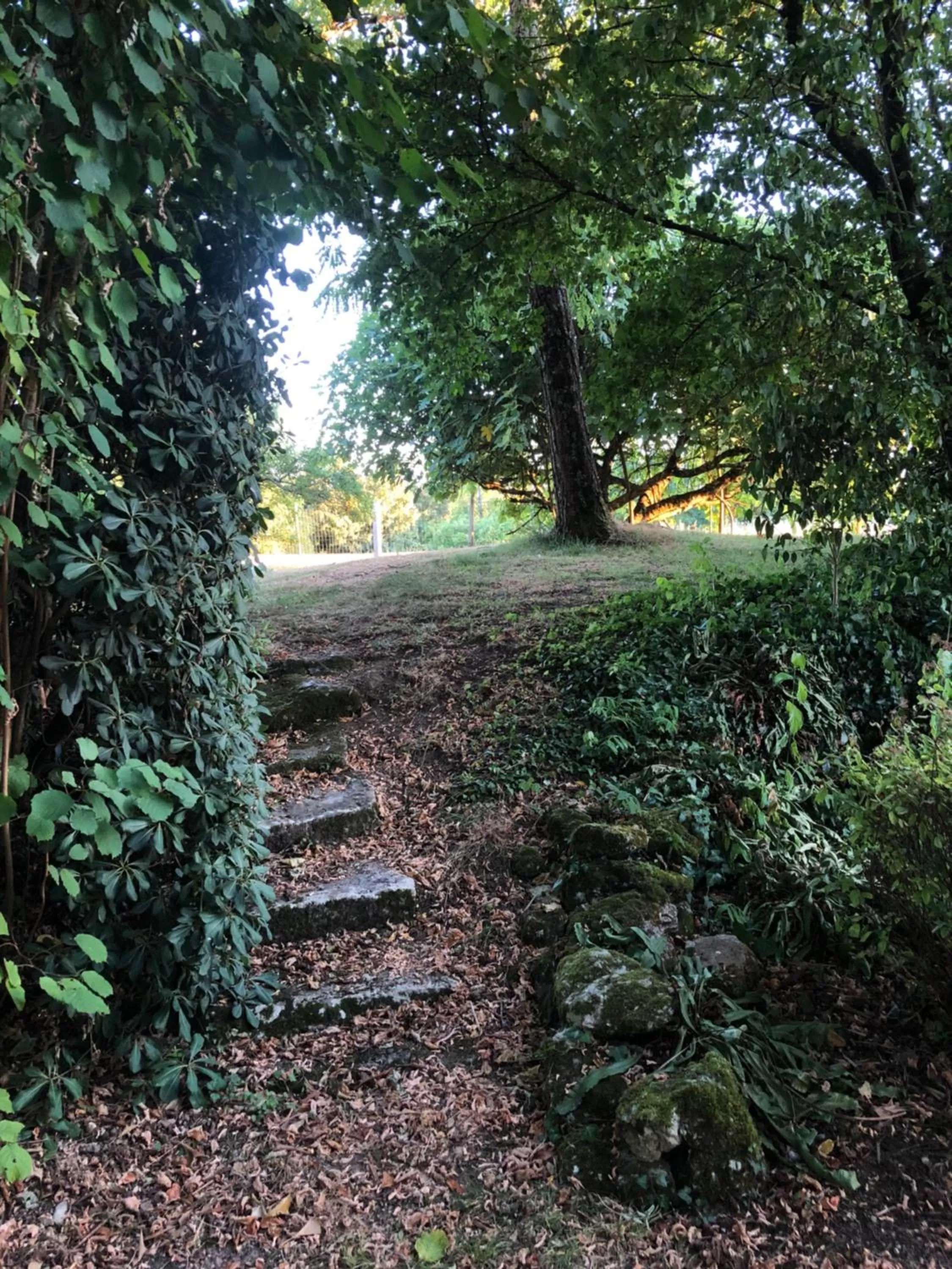 Garden in LA SOURCE DE BARDON