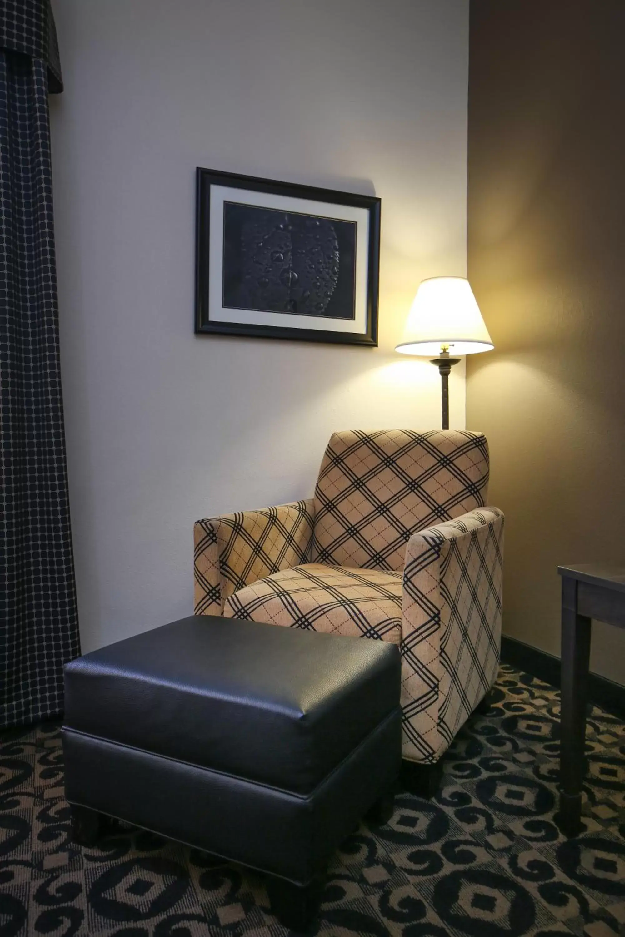 Seating Area in Quality Inn & Suites Boone - University Area