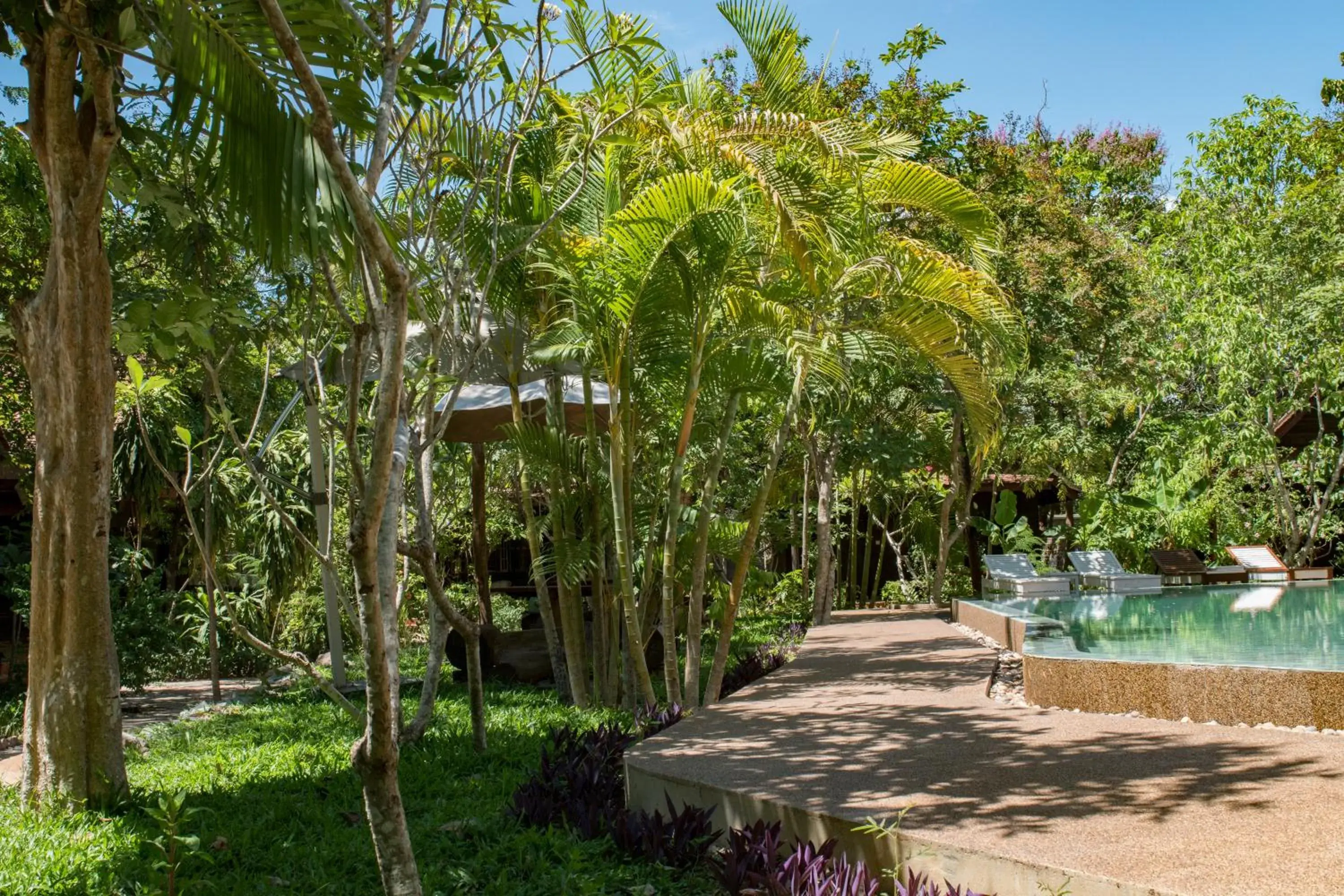 Garden in Palm Village Resort & Spa