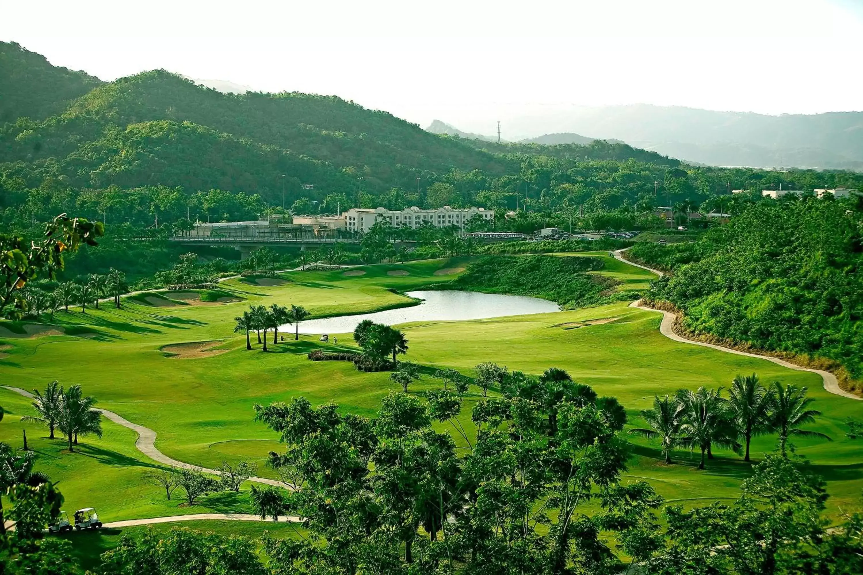 Golfcourse, Bird's-eye View in Four Points by Sheraton Caguas Real