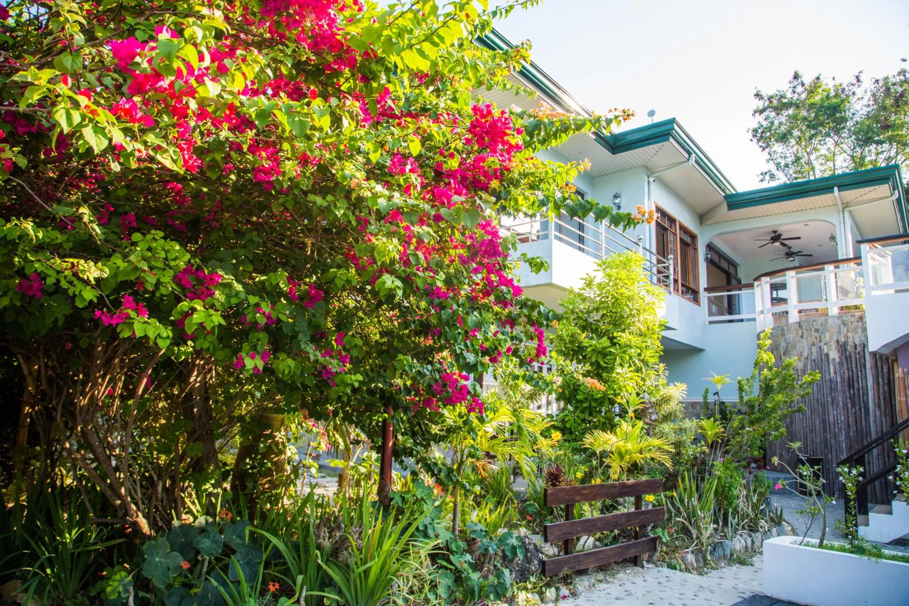 Natural landscape in Edgewater Dive & Spa Resort