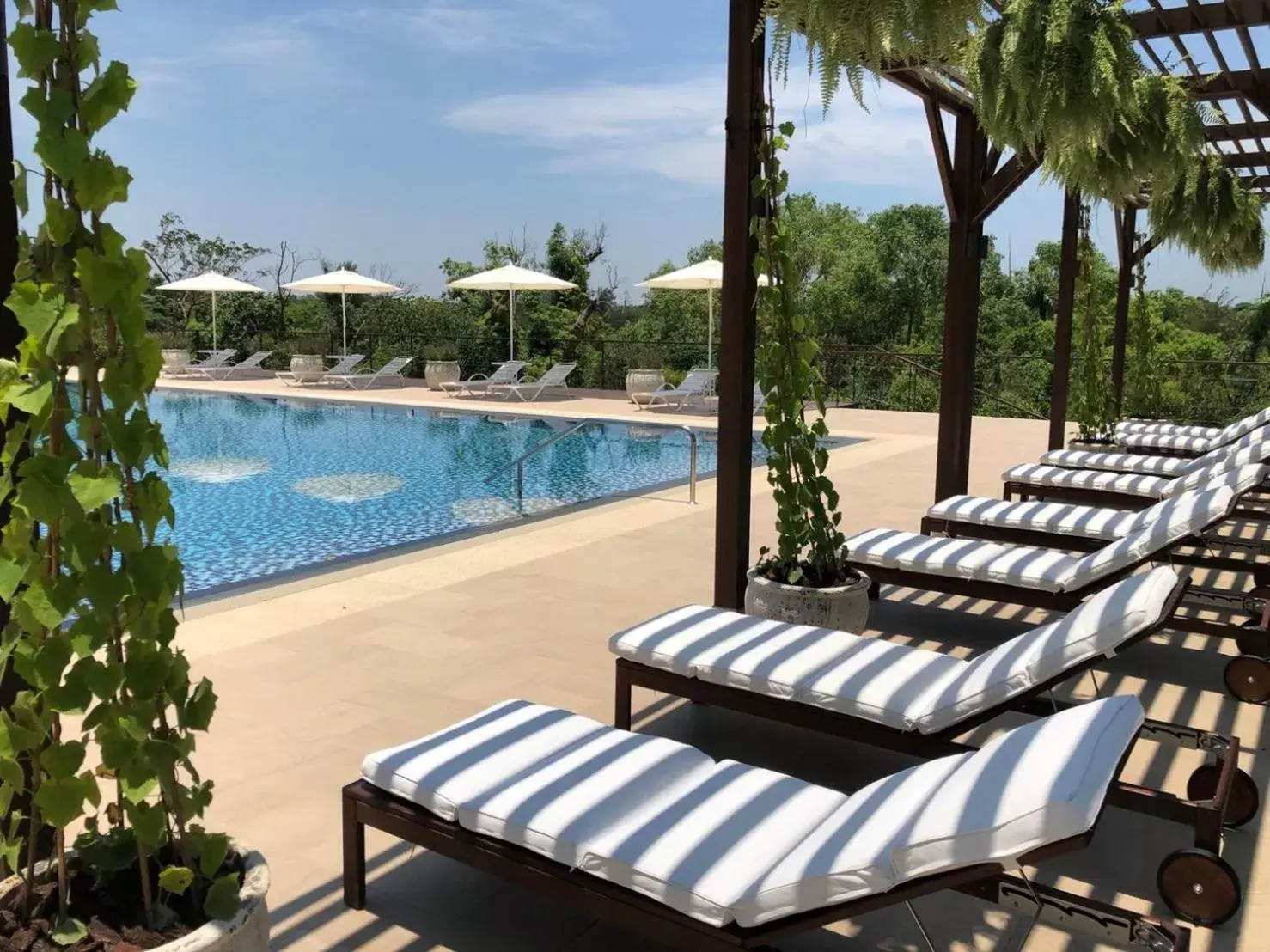 Swimming Pool in The Grand Hotel Kaohsiung