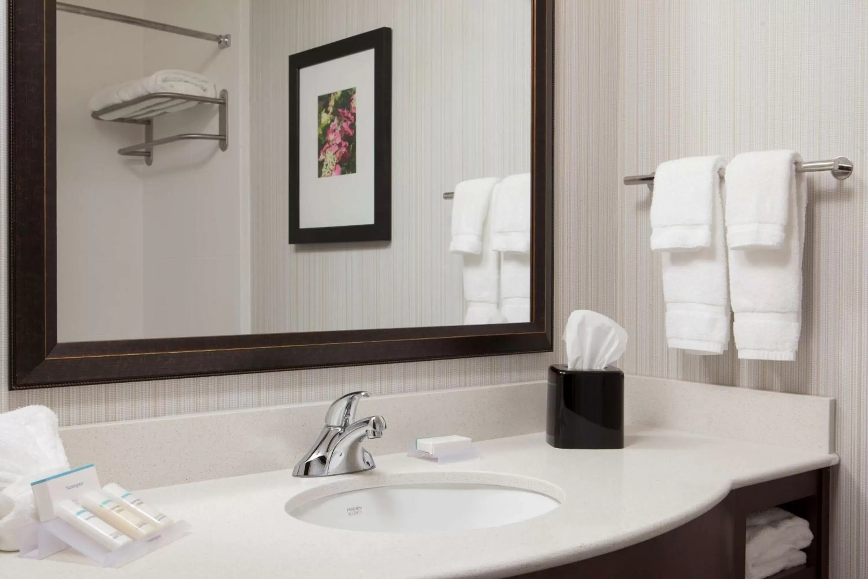 Bathroom in Hilton Garden Inn Bettendorf/ Quad Cities