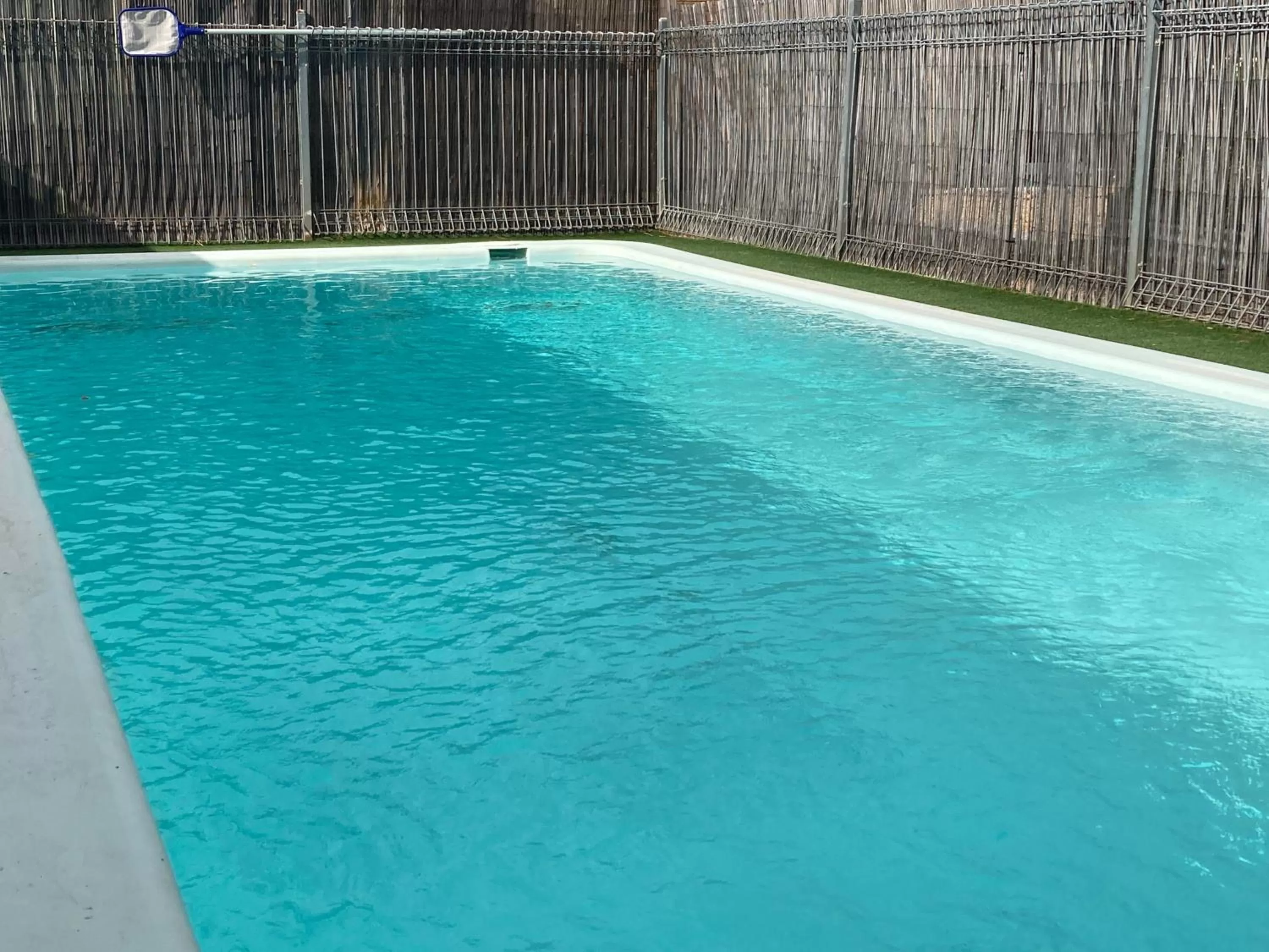 Swimming pool in Camellia Motel