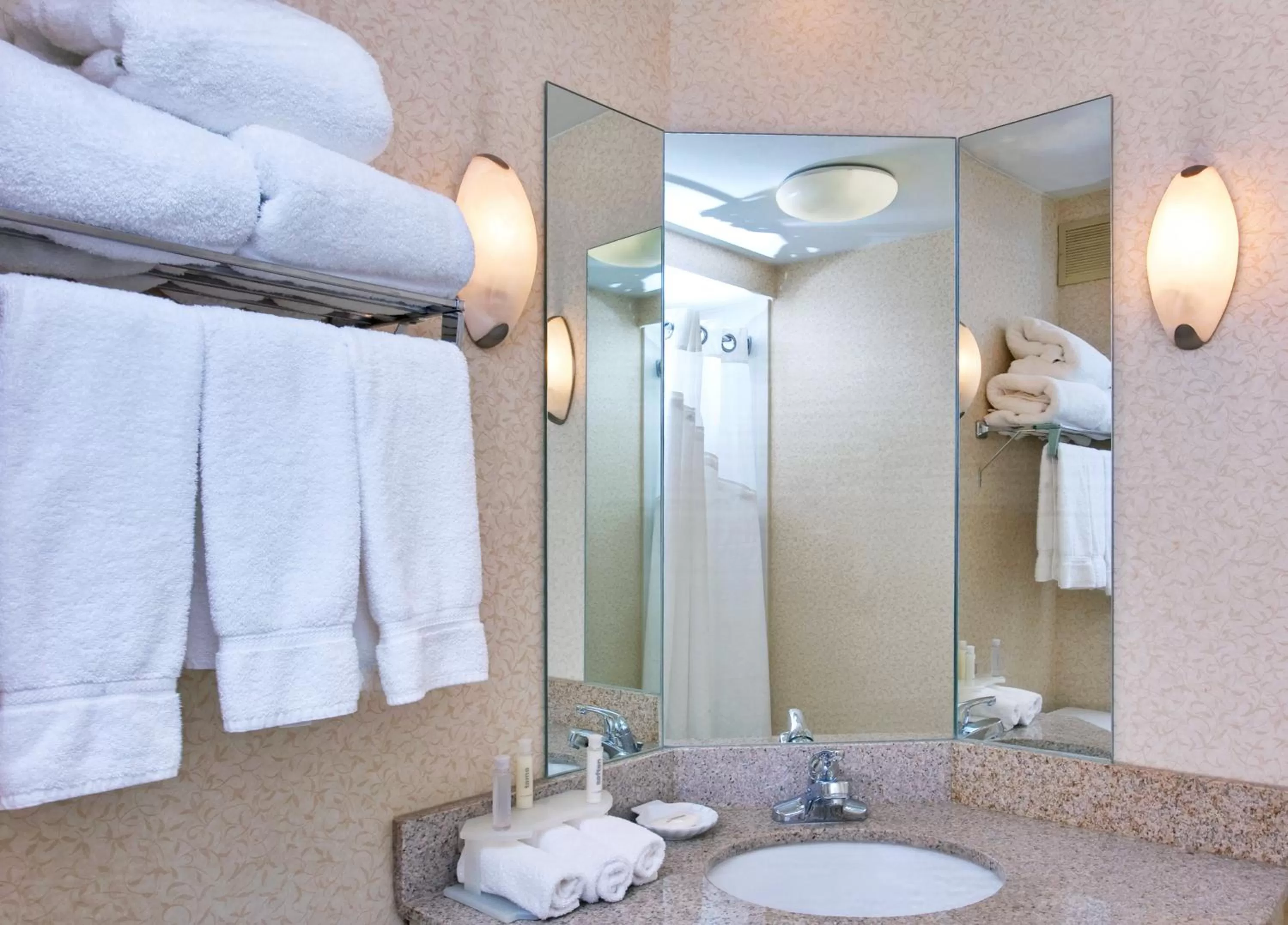 Bathroom in Holiday Inn Express Memphis Medical Center - Midtown by IHG
