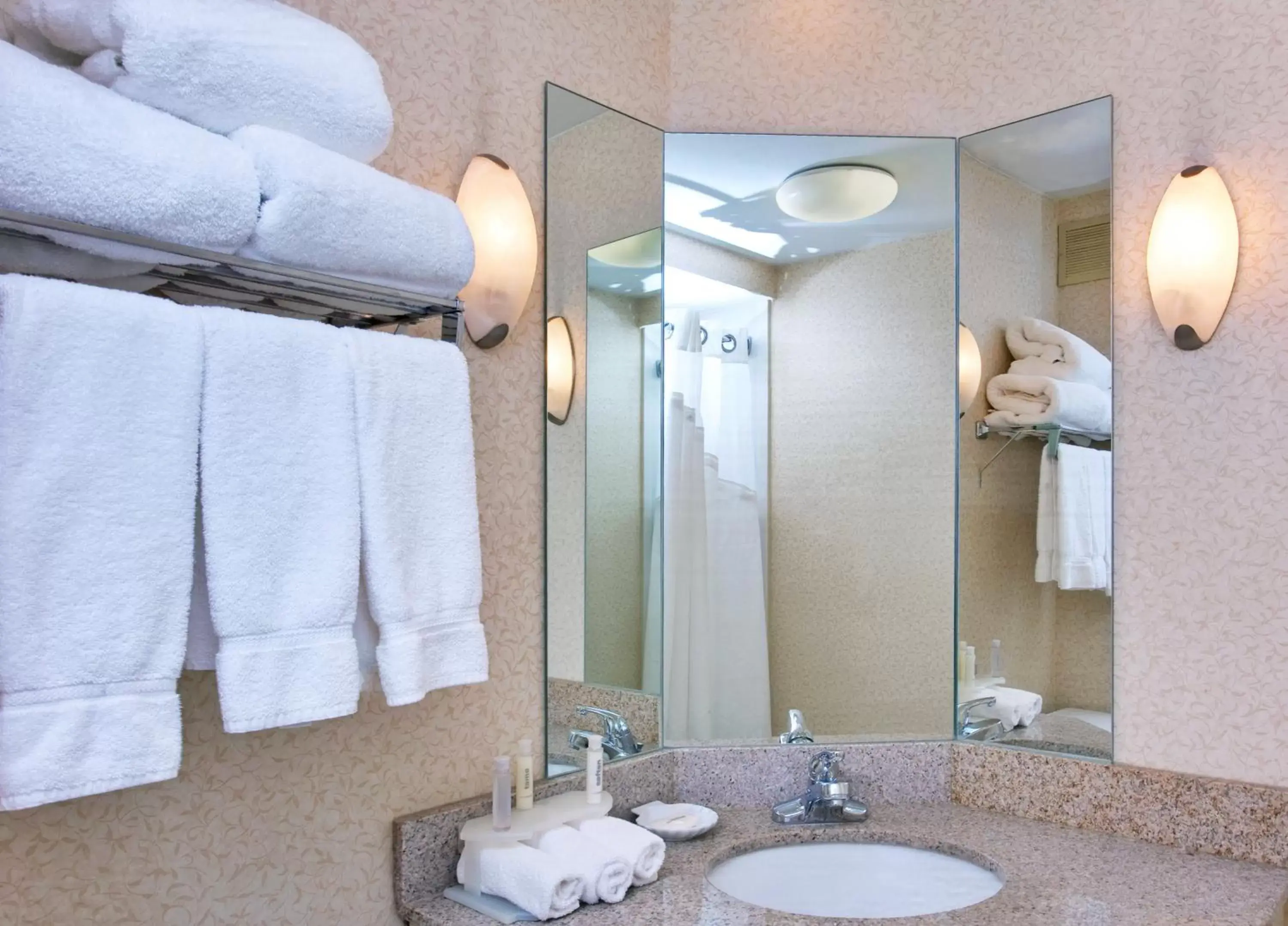 Bathroom in Holiday Inn Express Memphis Medical Center - Midtown, an IHG Hotel