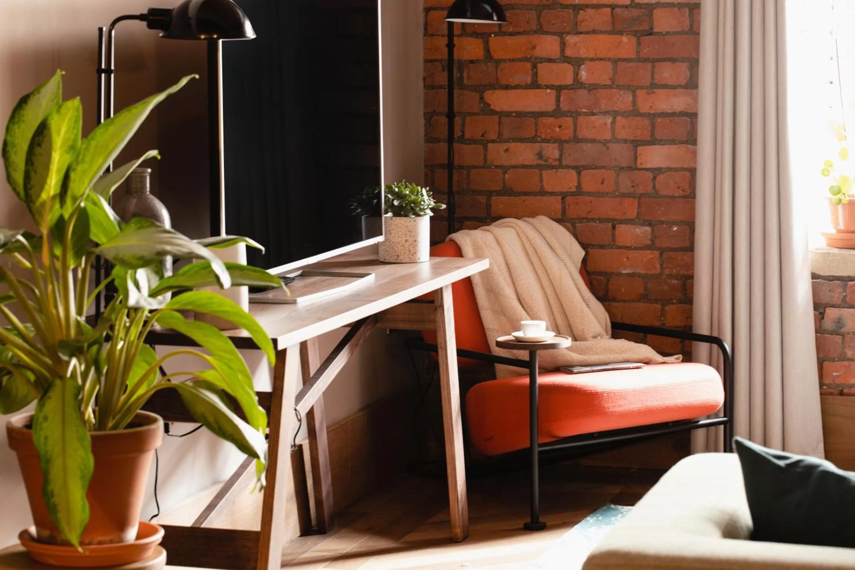 TV and multimedia in Native Manchester