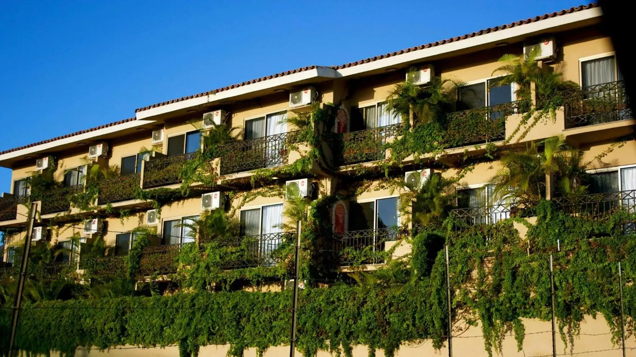 Balcony/Terrace, Property Building in Cabo Vista Hotel Adults Only