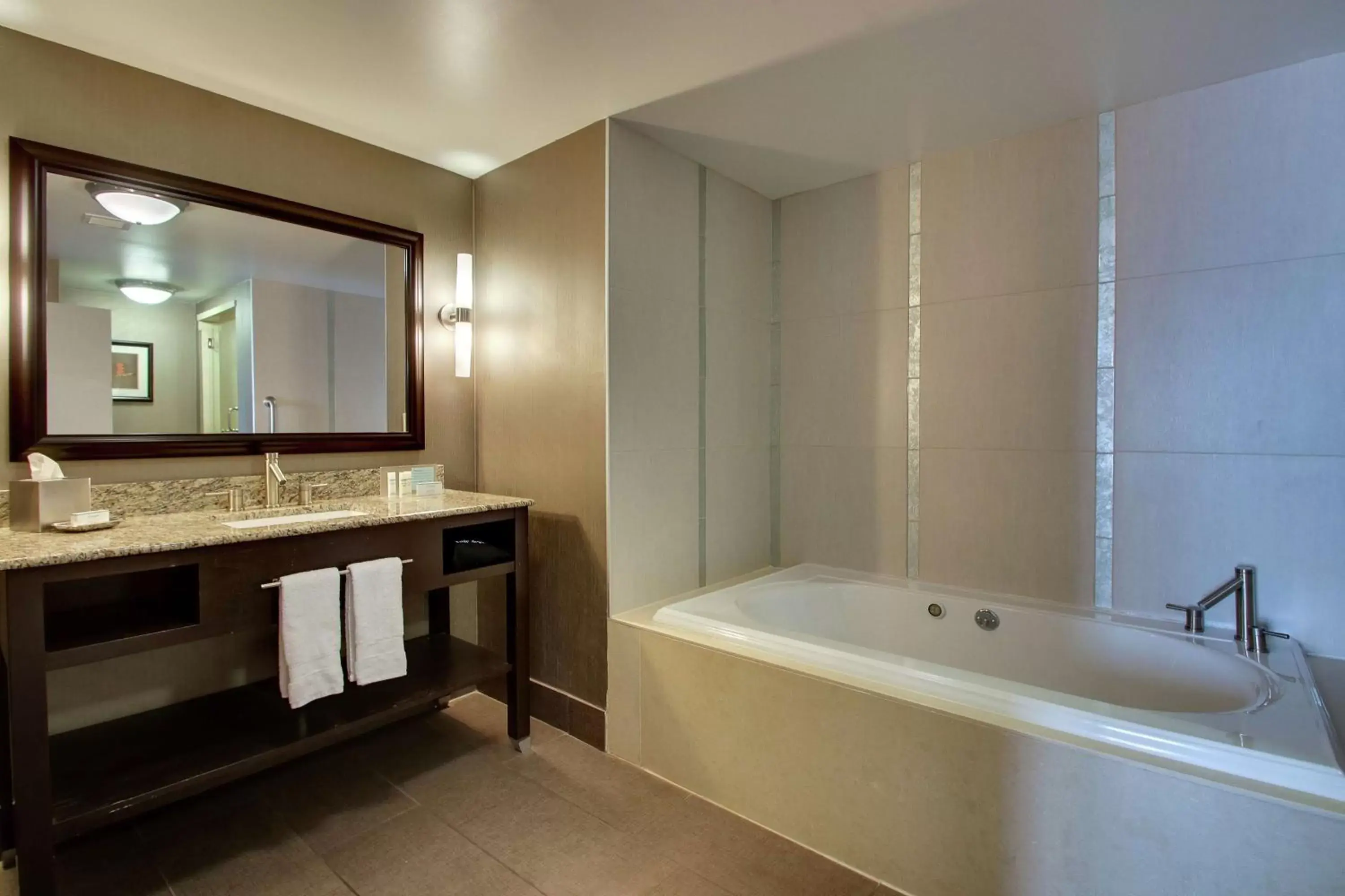 Bathroom in Hampton Inn & Suites Shreveport