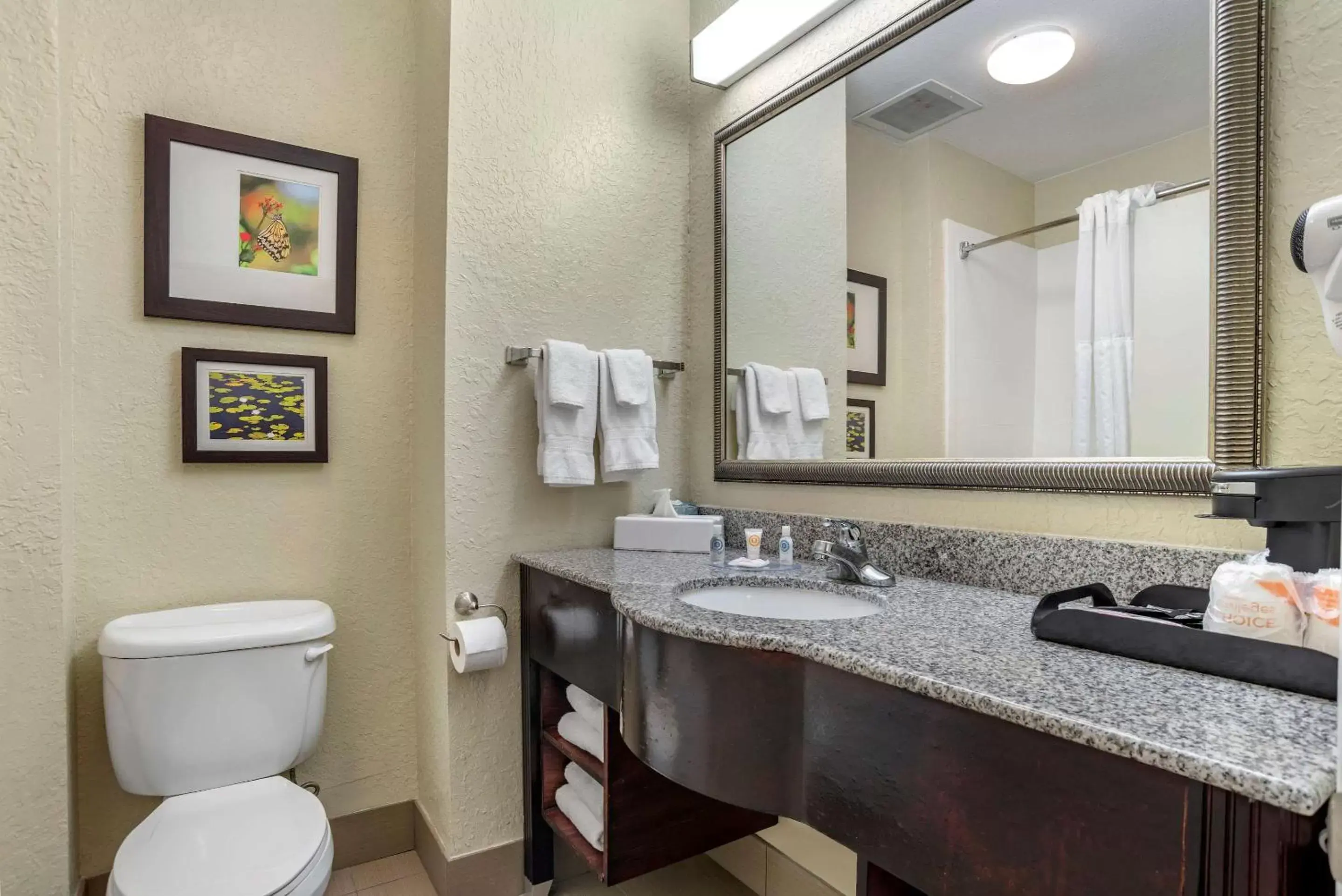 Bedroom, Bathroom in Comfort Inn & Suites Marianna I-10