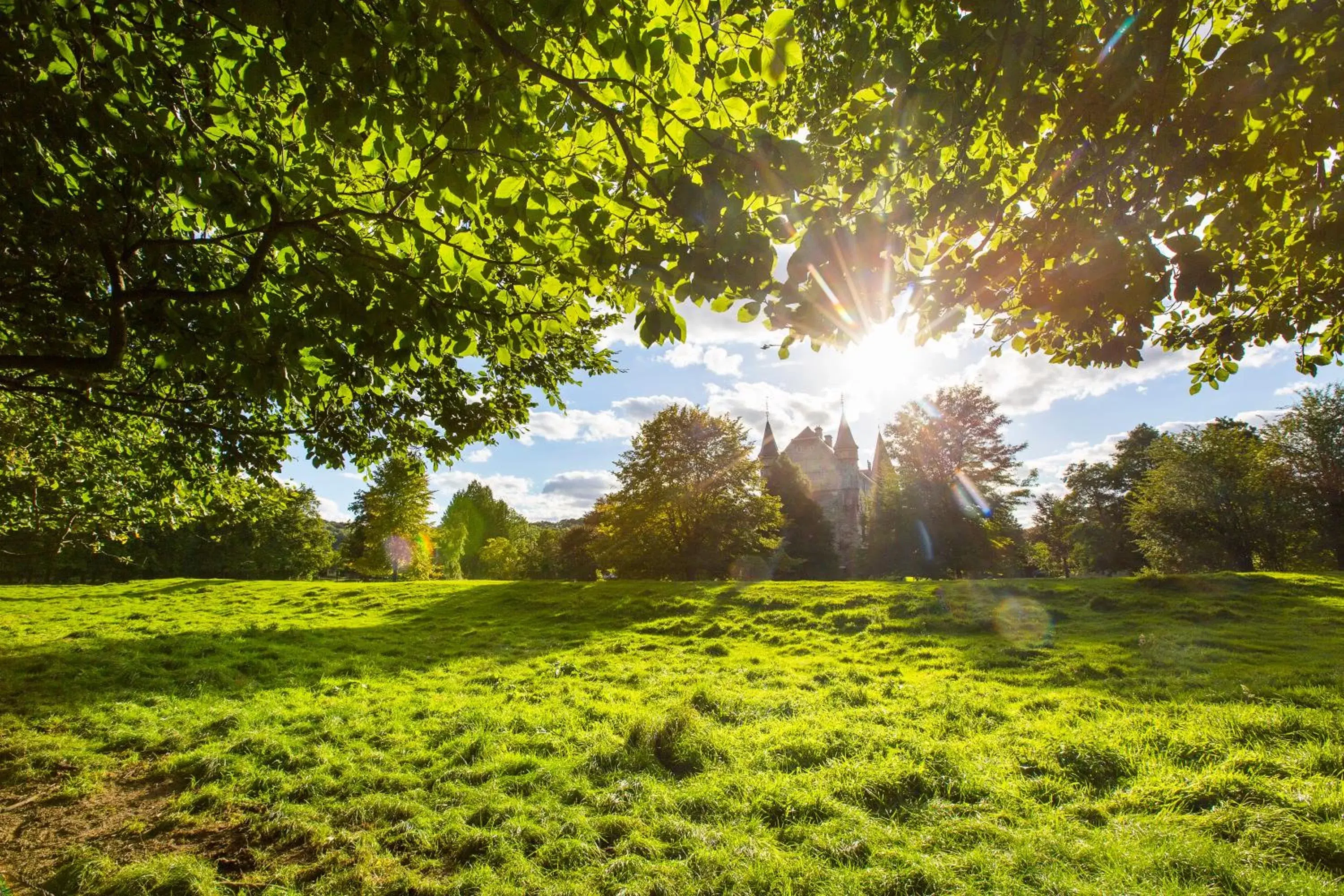 Natural landscape in Hotel Valkenburg by Mercure