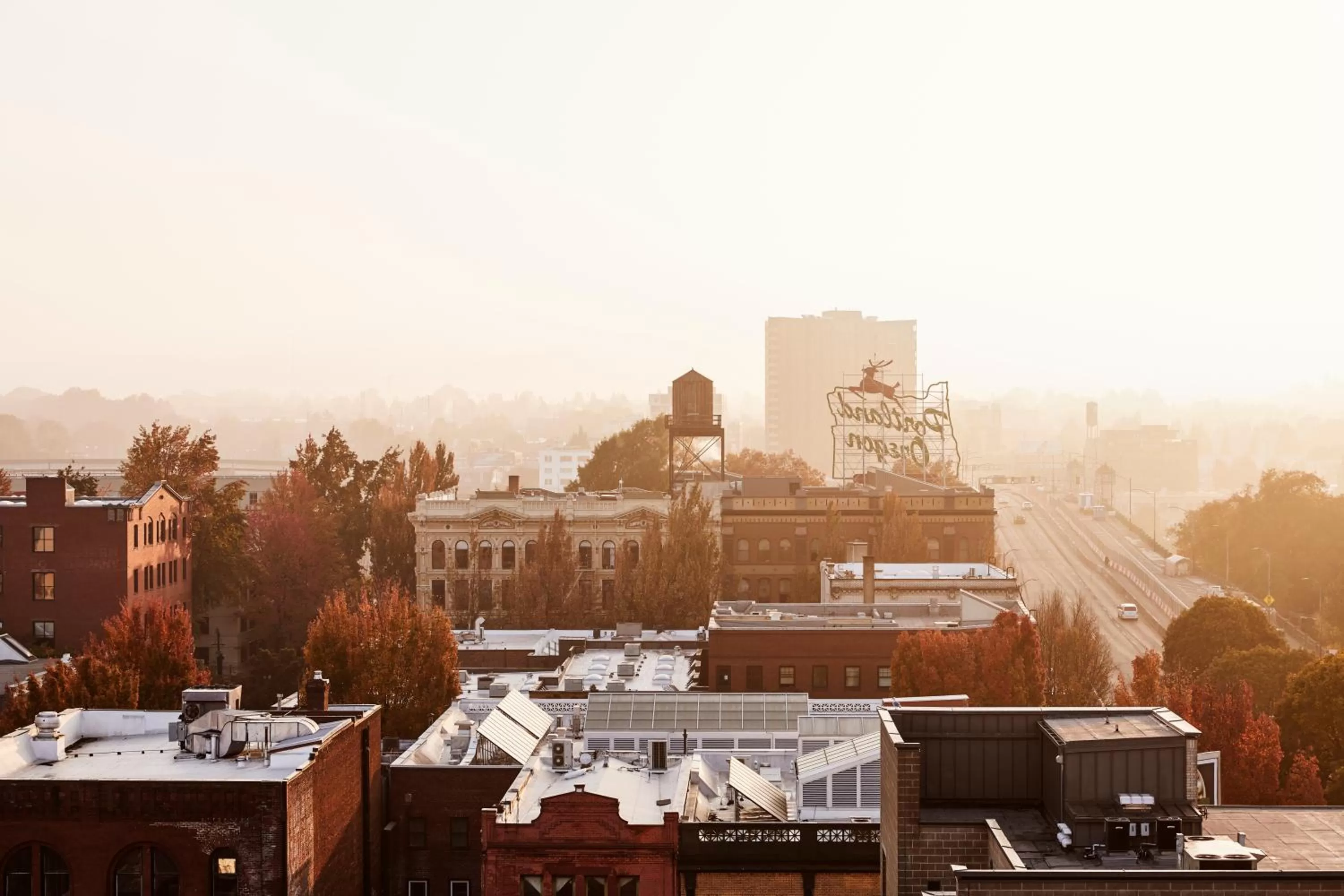 View (from property/room) in The Hoxton, Portland