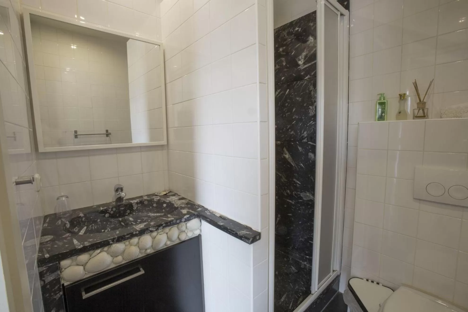 Bathroom in Meschermolen