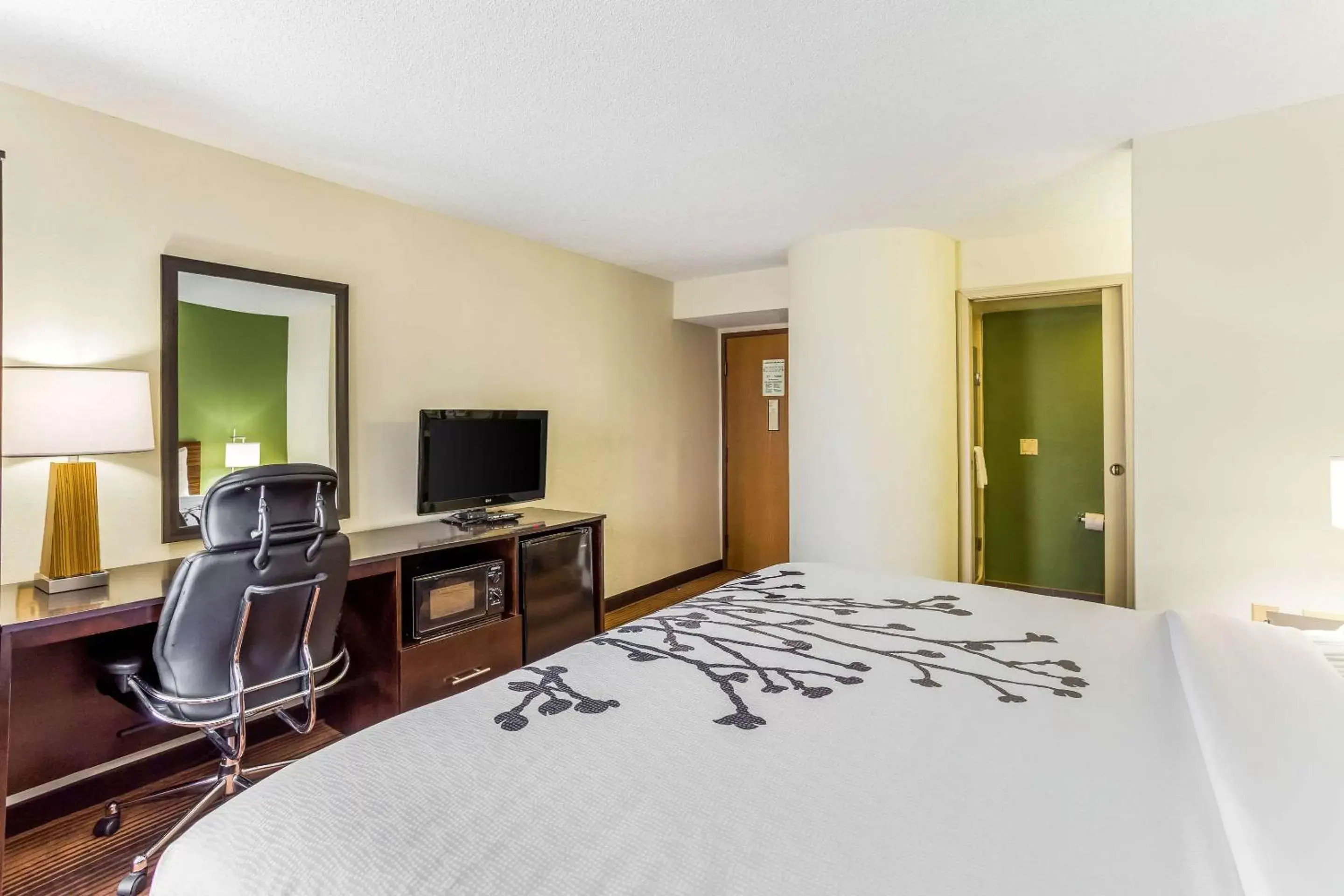 Photo of the whole room in Sleep Inn & Suites Kingsport TriCities Airport