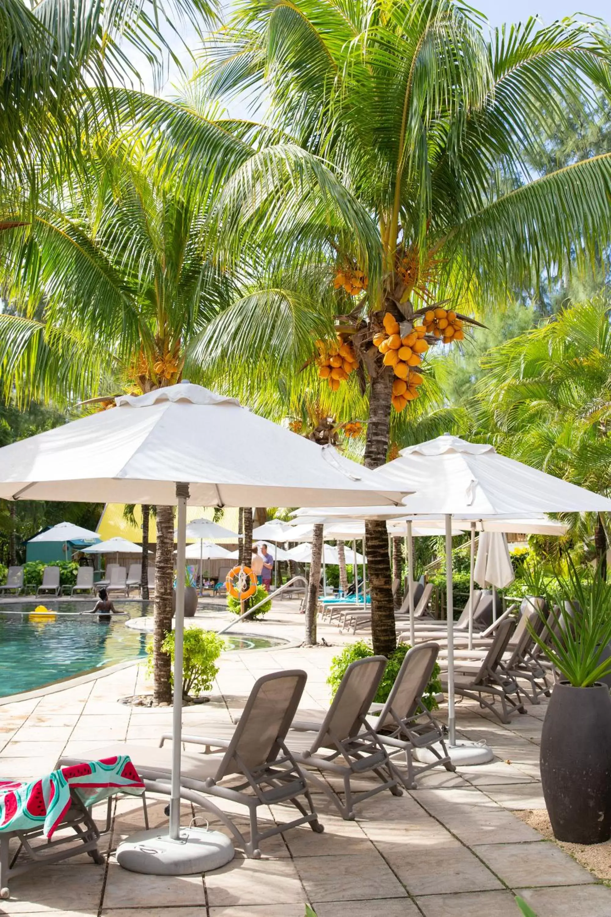 Swimming pool in Coin de Mire Attitude Swimming pool in Coin de Mire Attitude