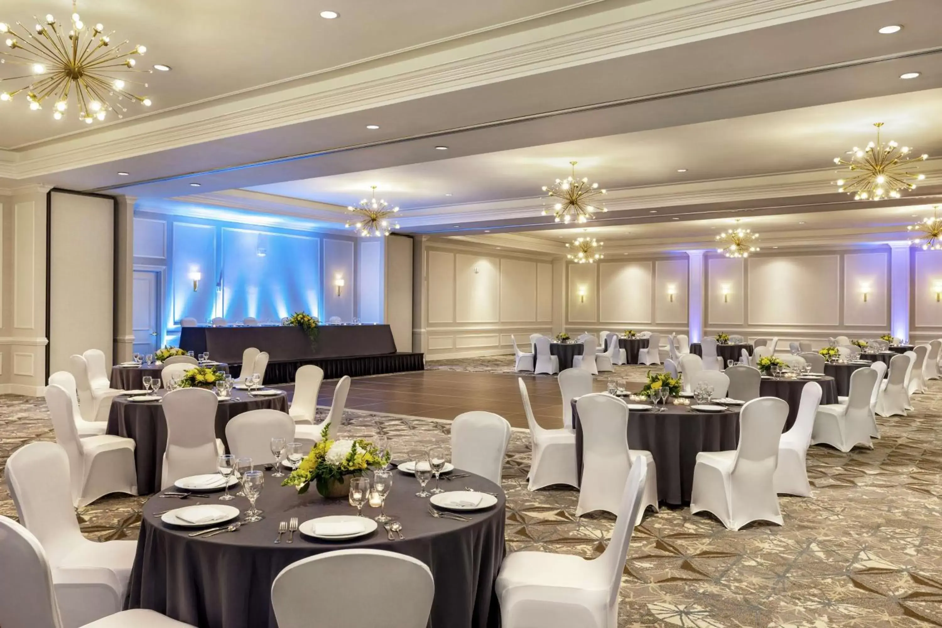 Meeting/conference room, Banquet Facilities in Hampton Inn and Suites New Orleans Convention Center