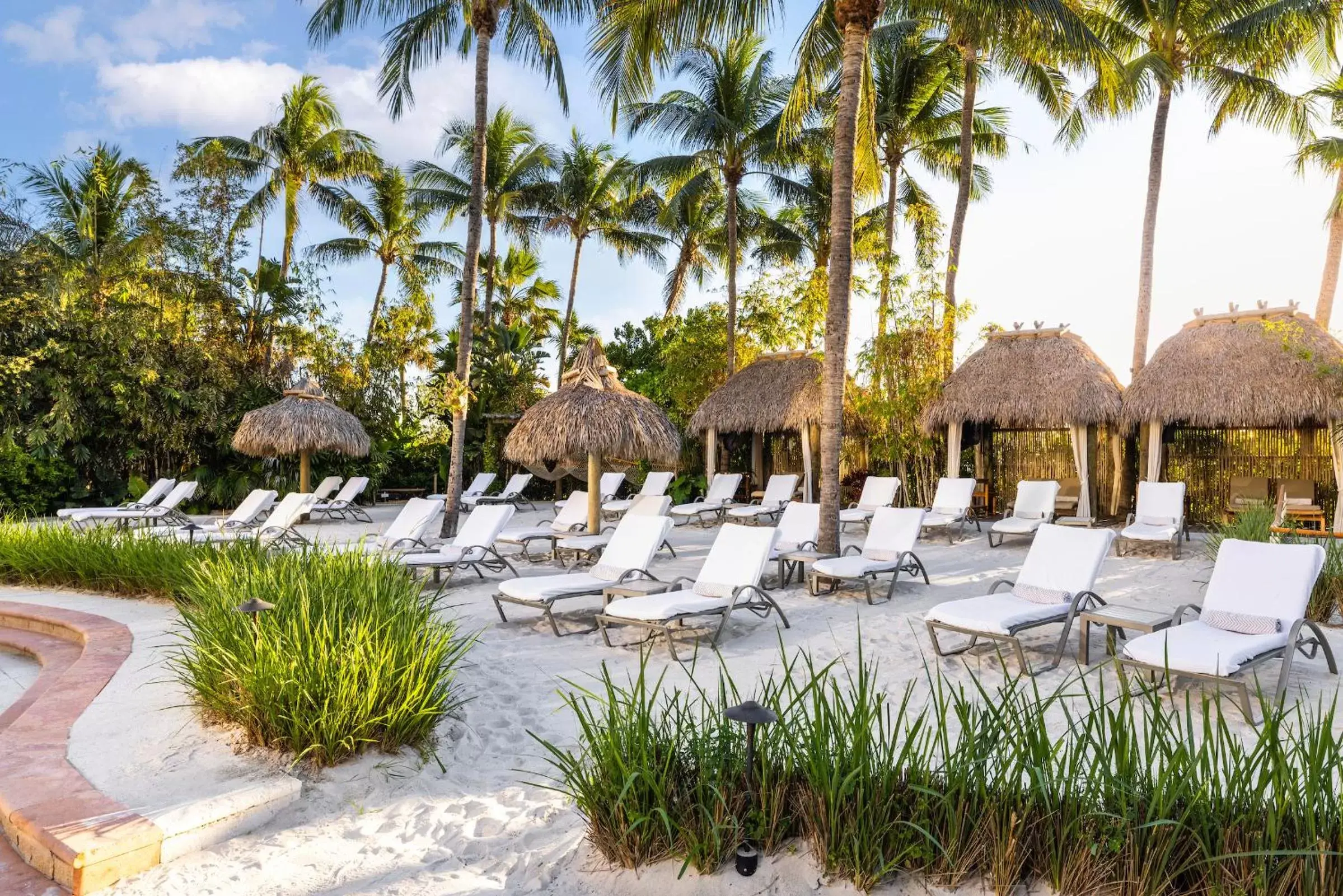 Garden view in The Palms Hotel & Spa Garden view in The Palms Hotel & Spa