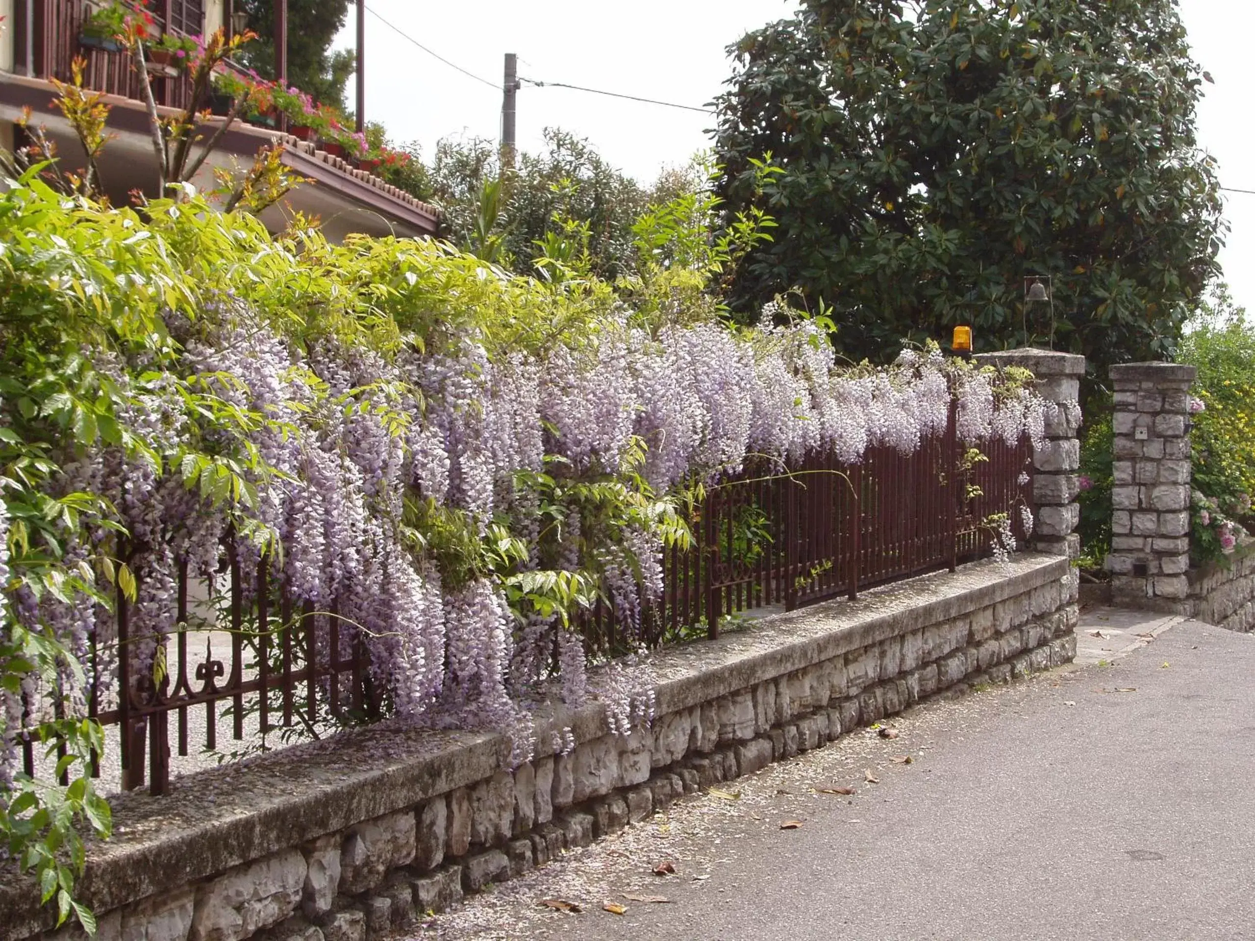 Facade/entrance in B&B Il Glicine