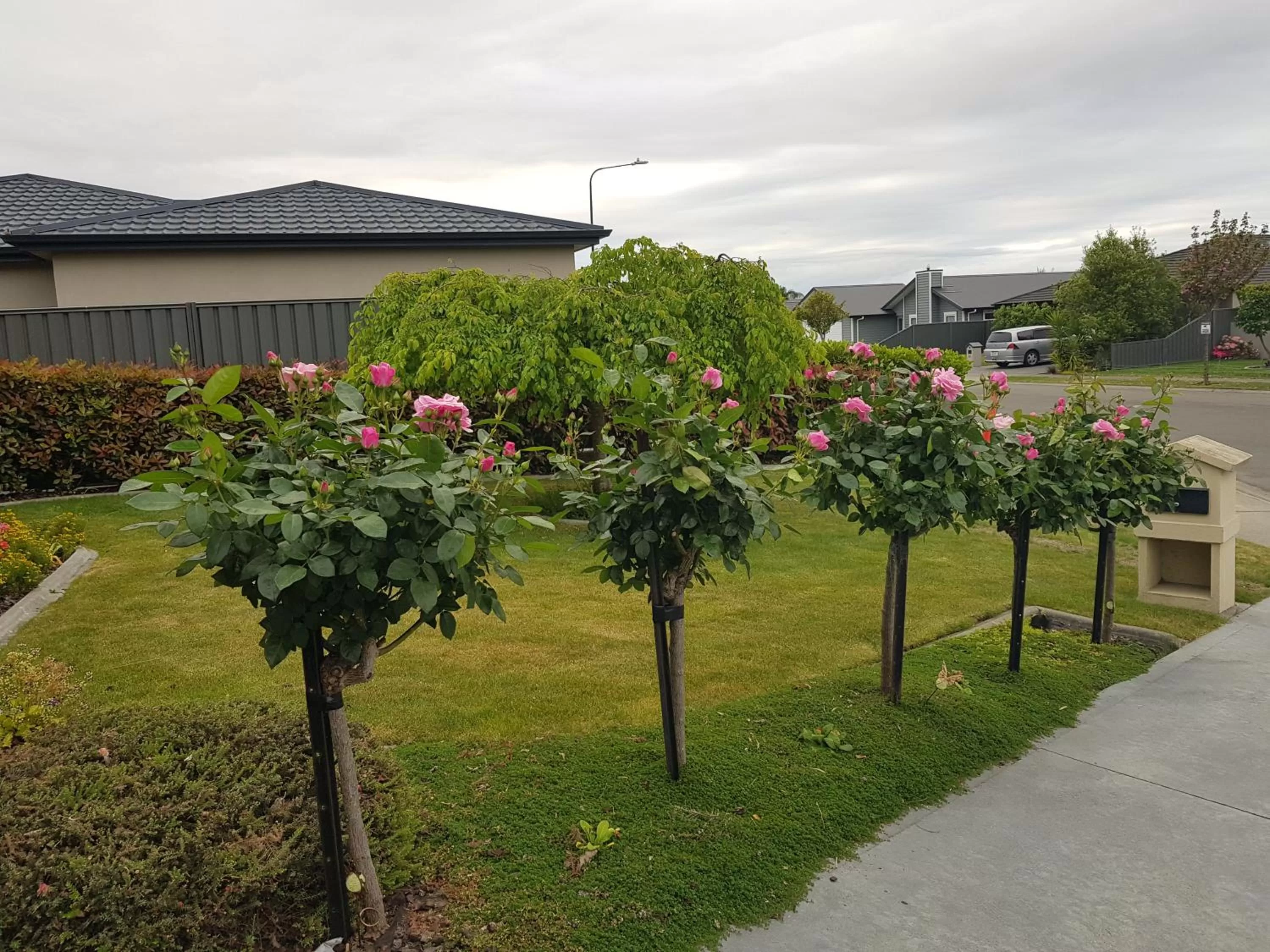 Facade/entrance in Liz on Lowry