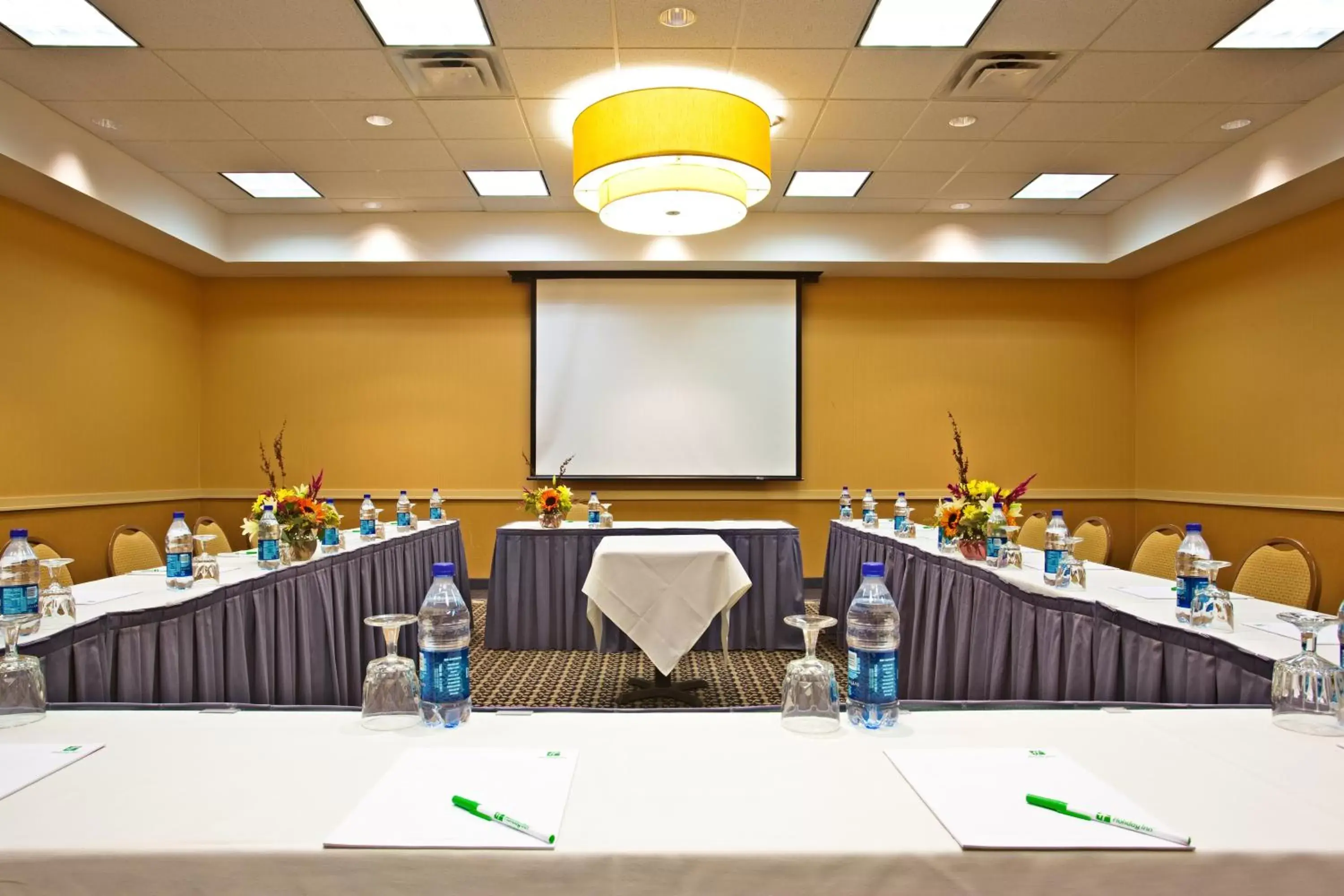 Meeting/conference room in Holiday Inn Chicago - Elk Grove, an IHG Hotel