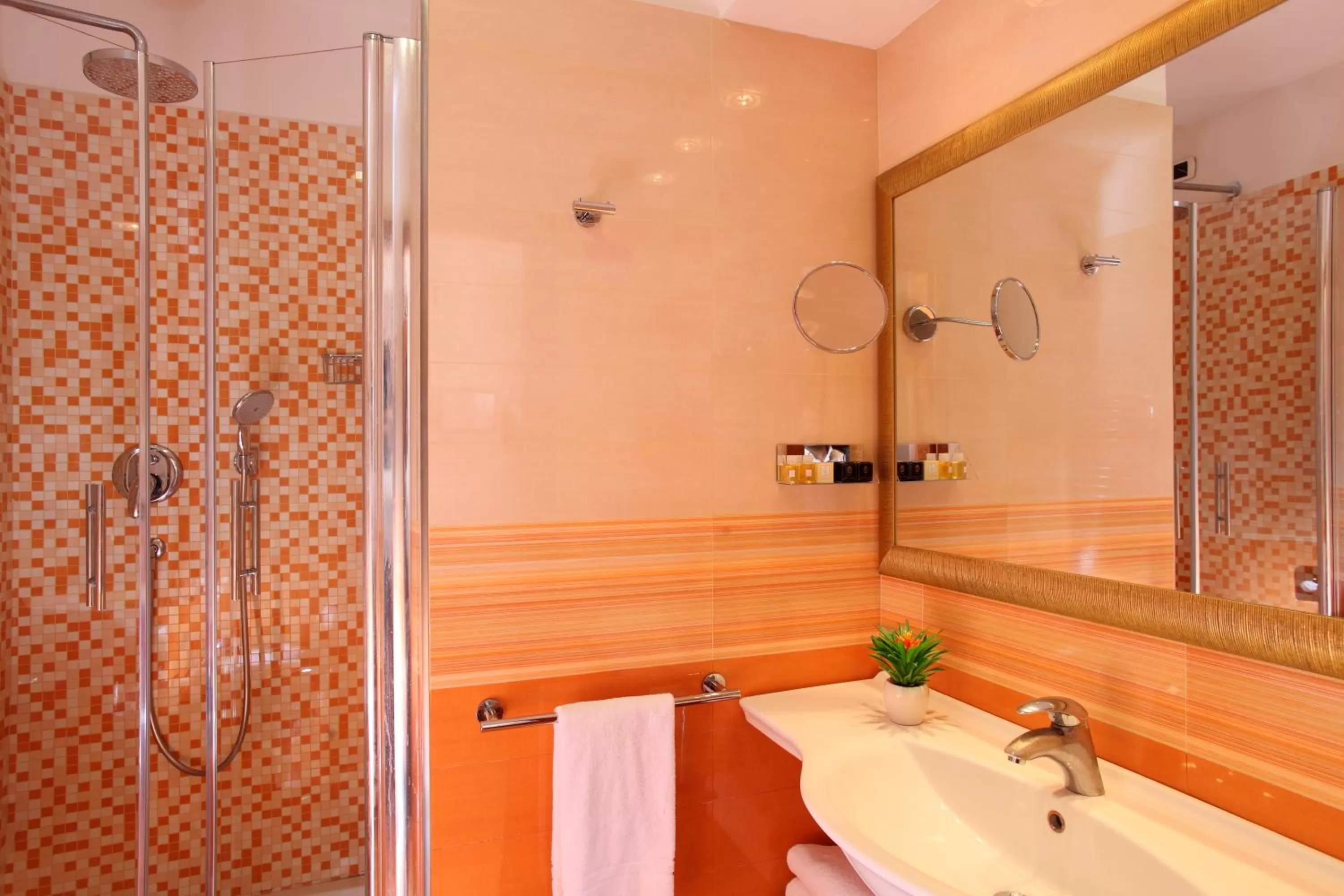 Bathroom in Hotel Serena srl