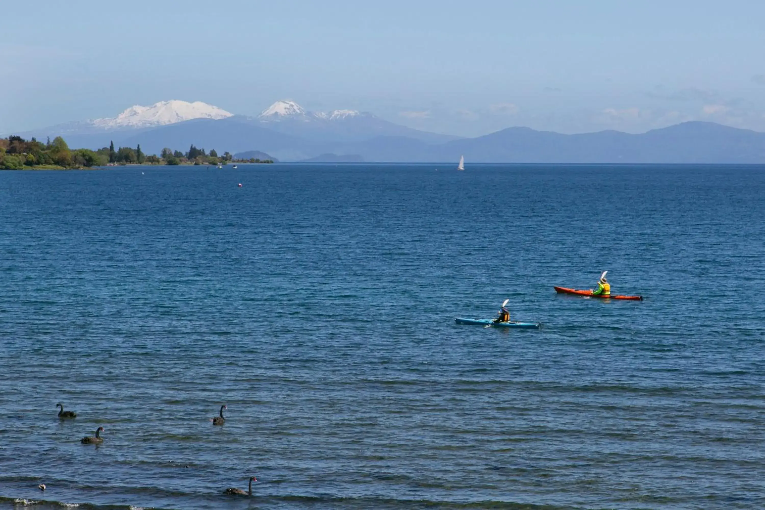 Beach in The Cove