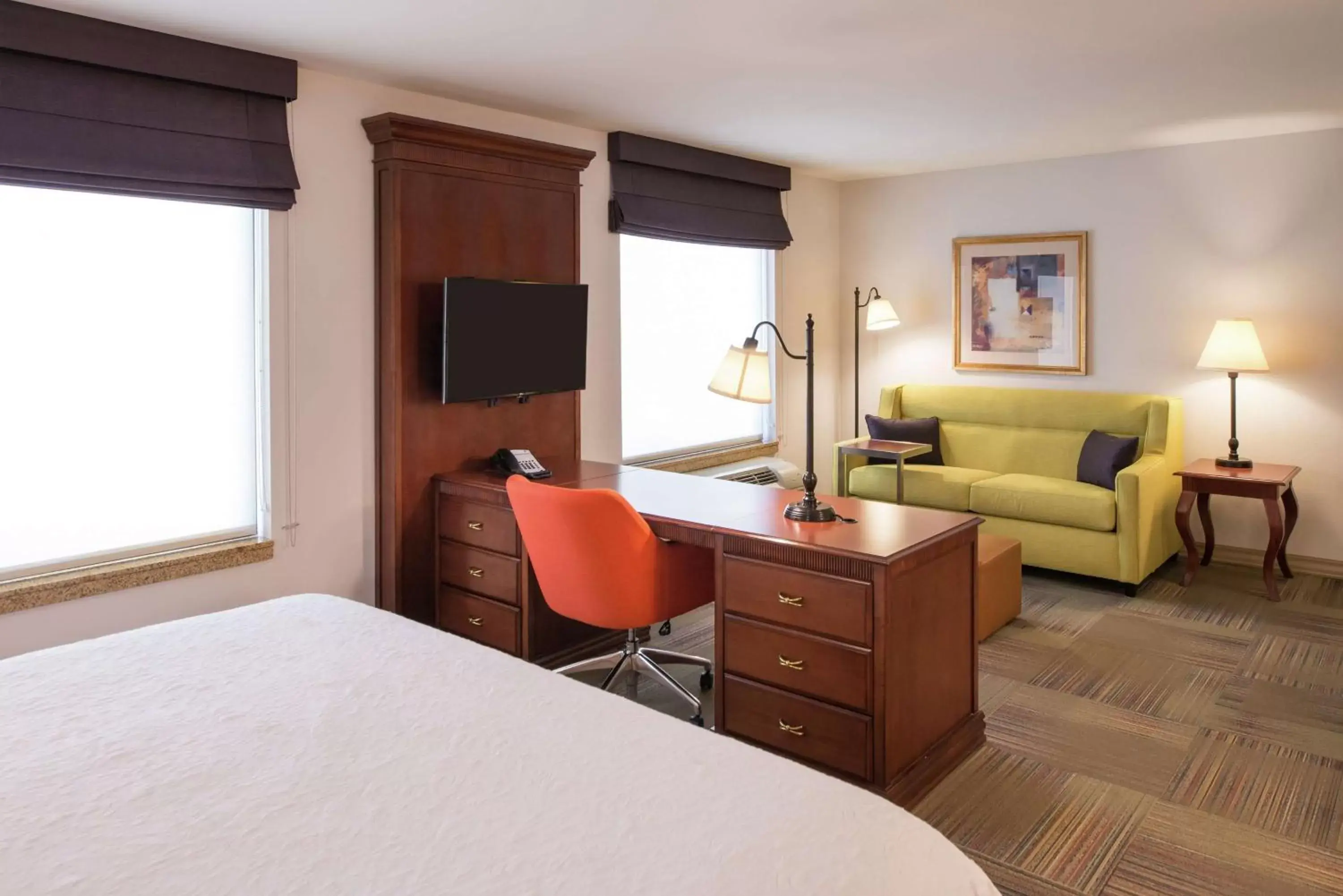 Bedroom, TV/Entertainment Center in Hampton Inn & Suites Rifle