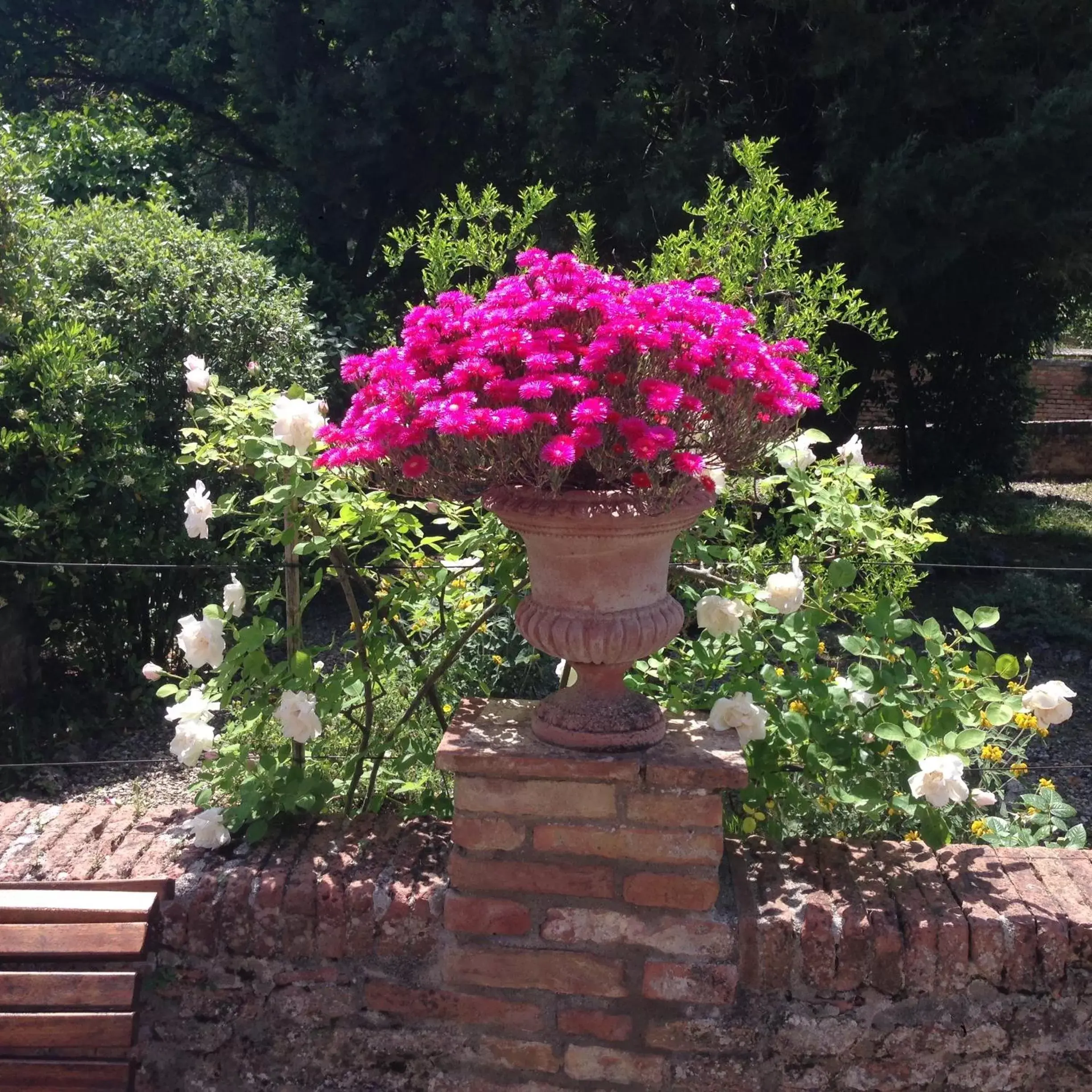 Garden in Hotel Palazzo di Valli