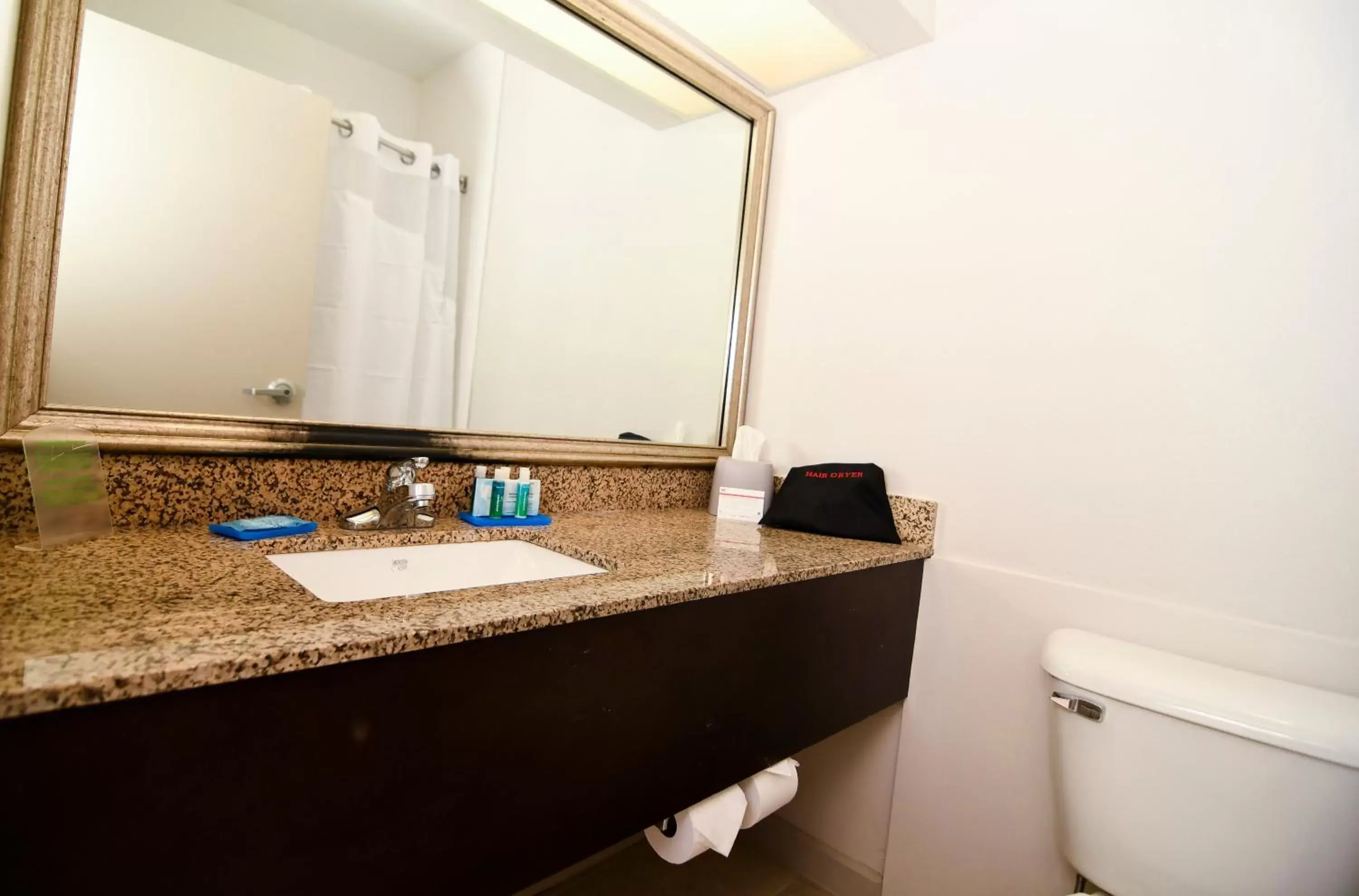 Bathroom in Holiday Inn Express Hotel & Suites Port Clinton-Catawba Island, an IHG Hotel