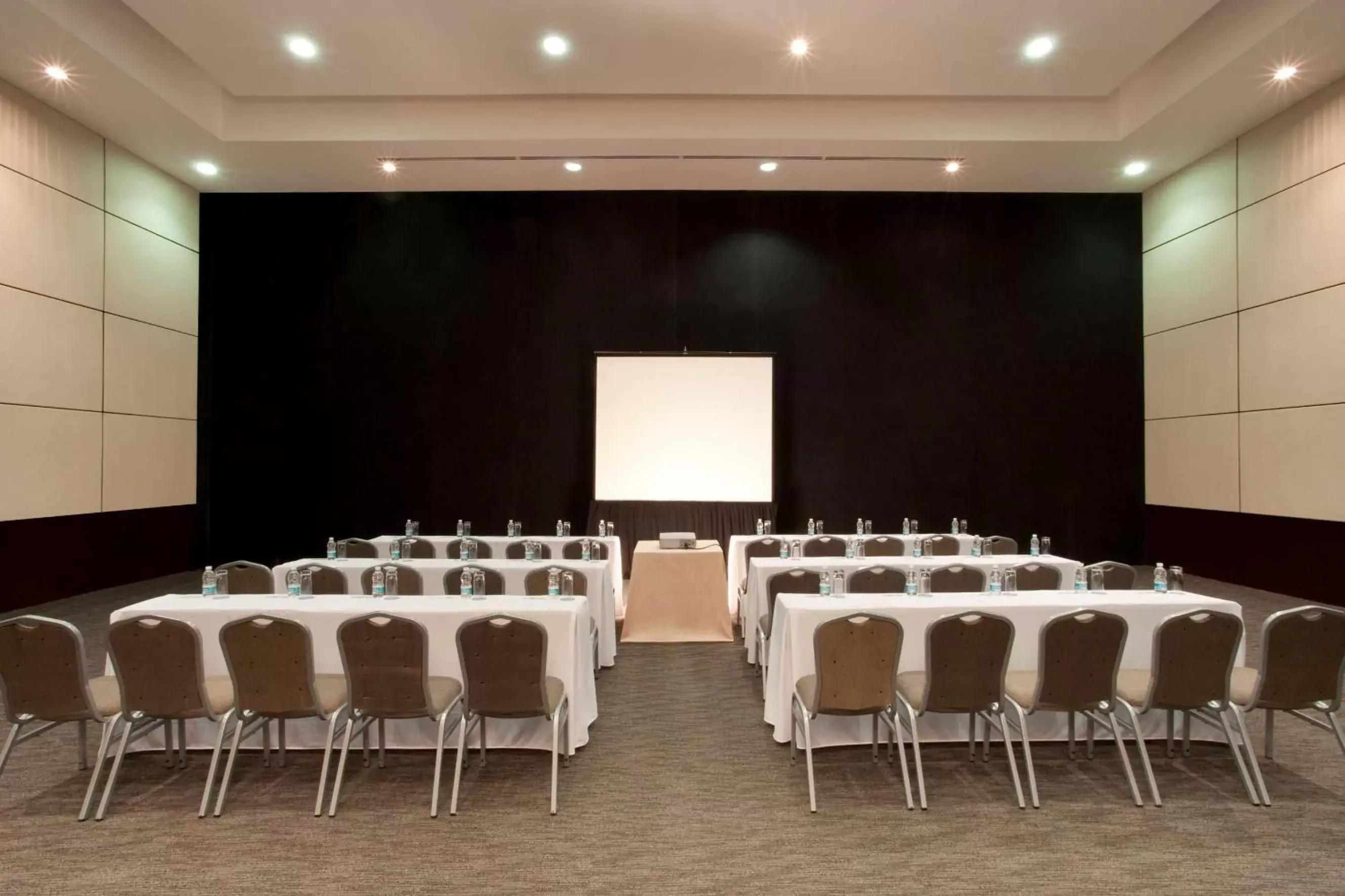 Meeting/conference room in NH Collection Mexico City Airport T2