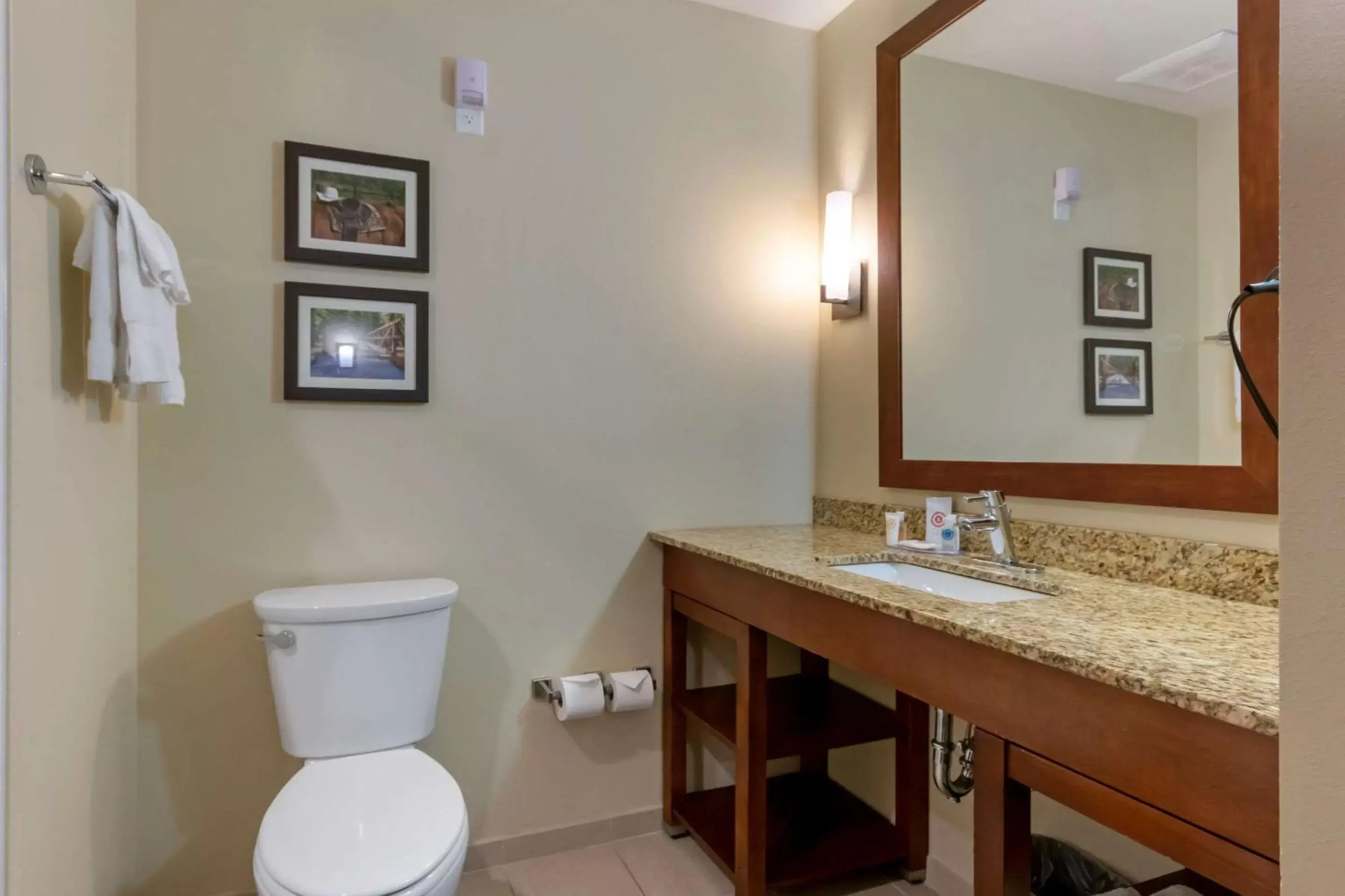Photo of the whole room, Bathroom in Comfort Suites Billings