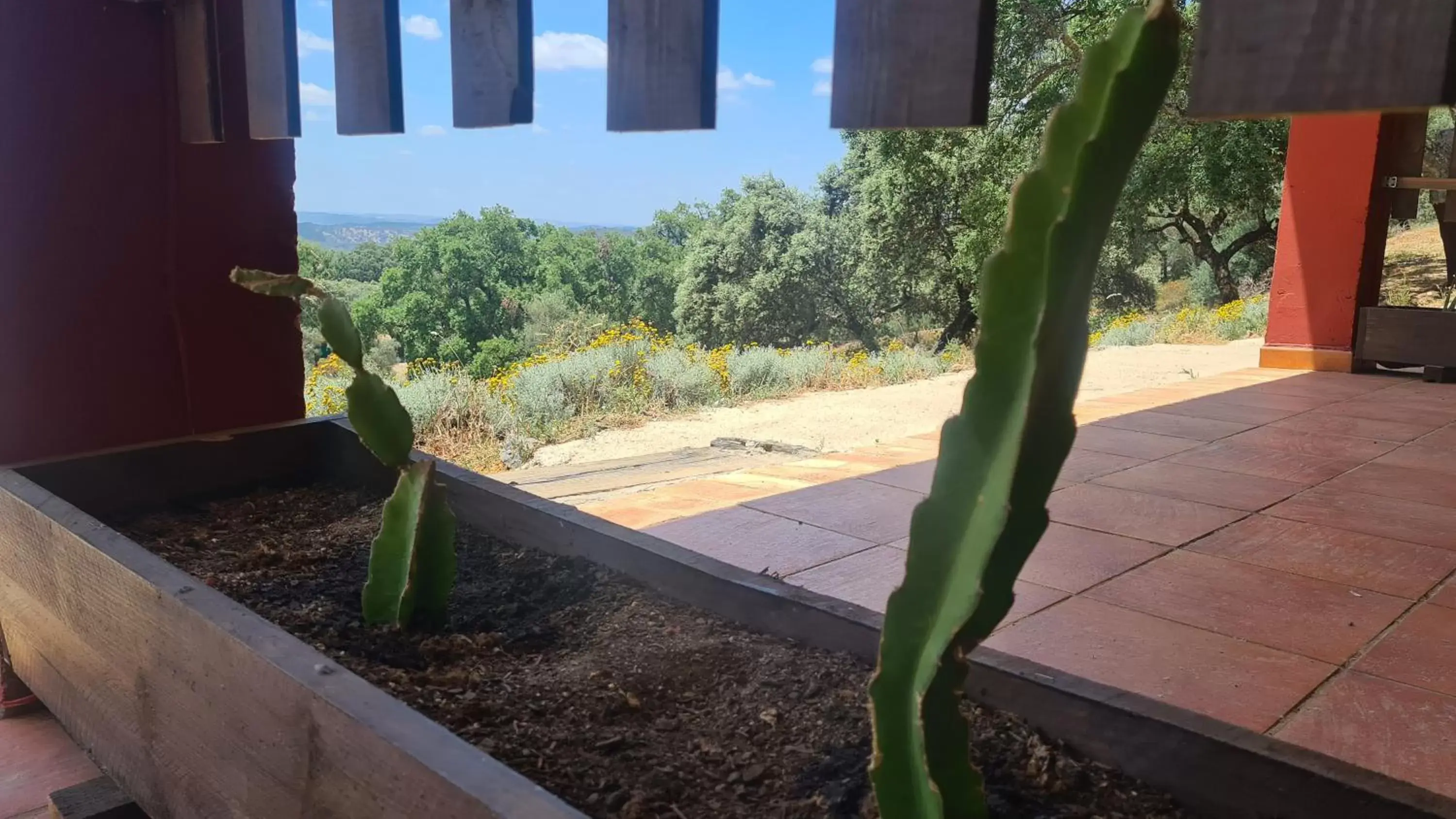 Balcony/Terrace in Hotel La Era de Aracena - Adults Only