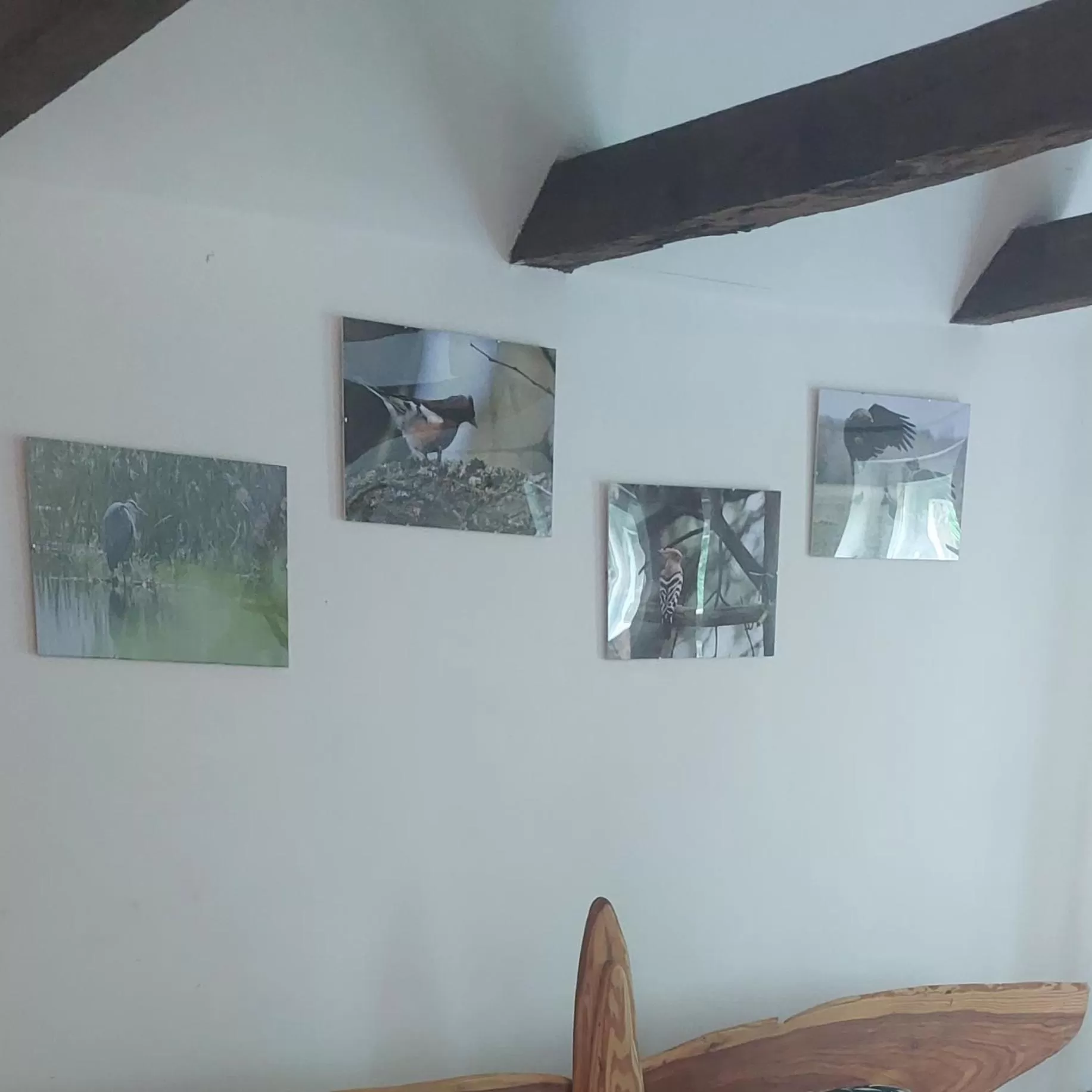 Photo of the whole room in Dom na Mazurach Pilec