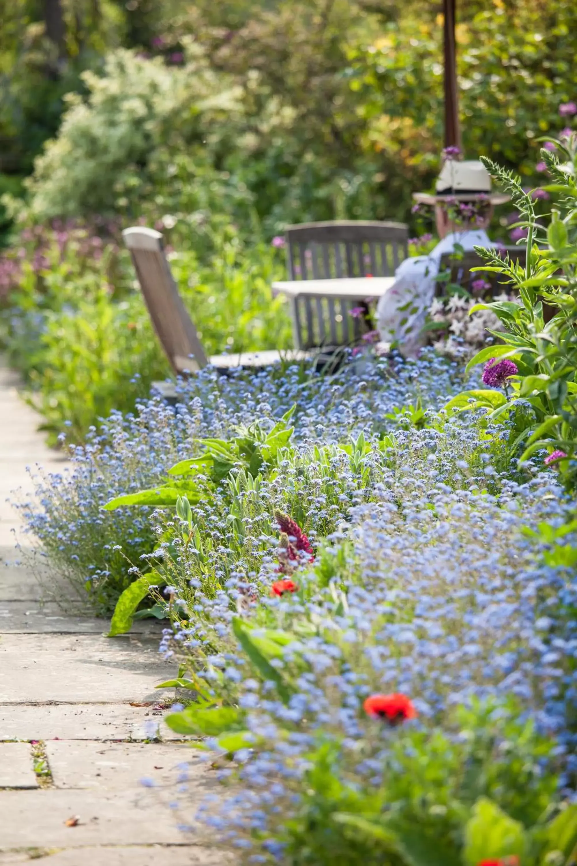 Garden in Gravetye Manor