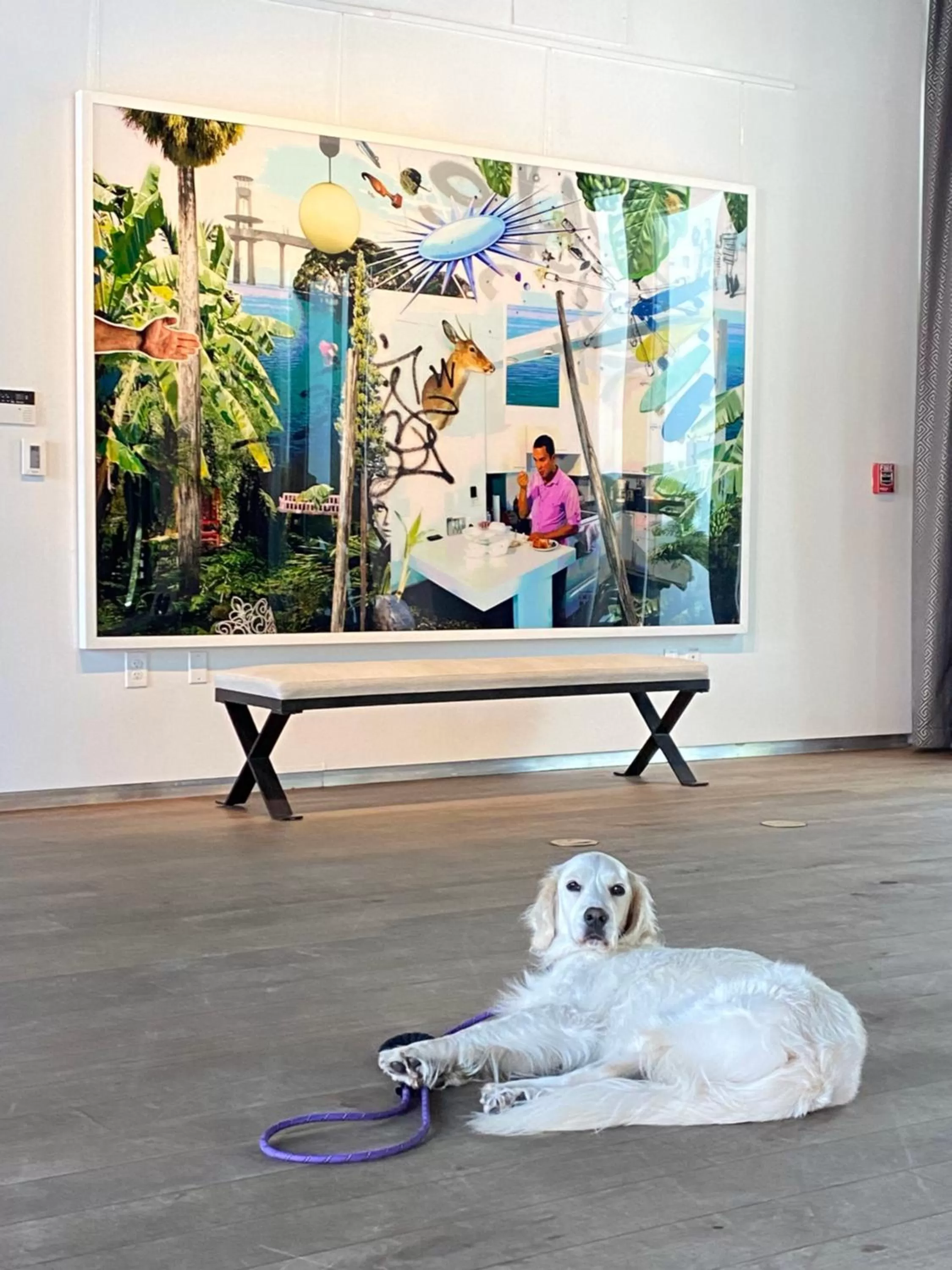 Property building in The Betsy Hotel, South Beach