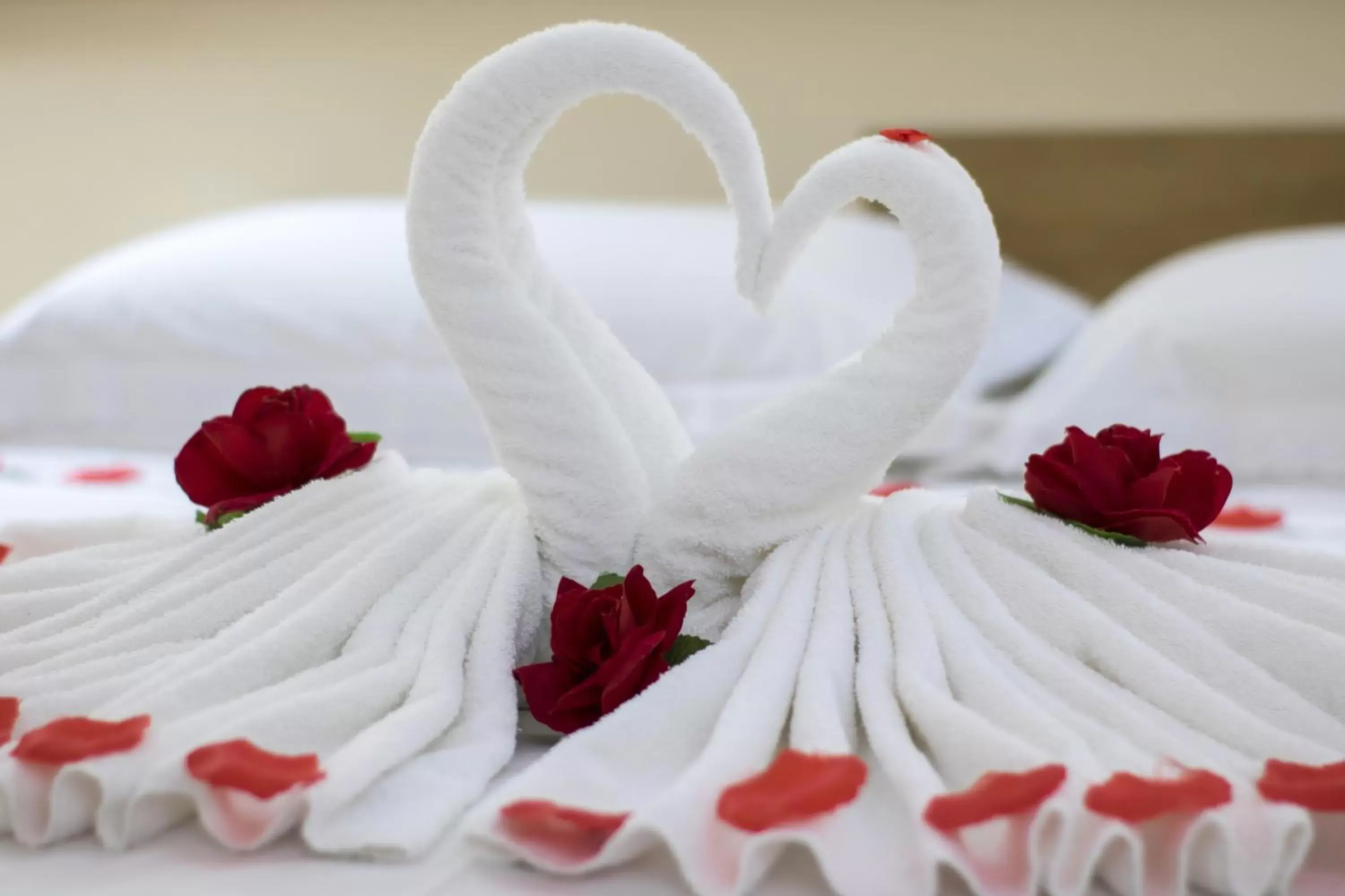 Decorative detail, Bed in Dan Inn Sorocaba