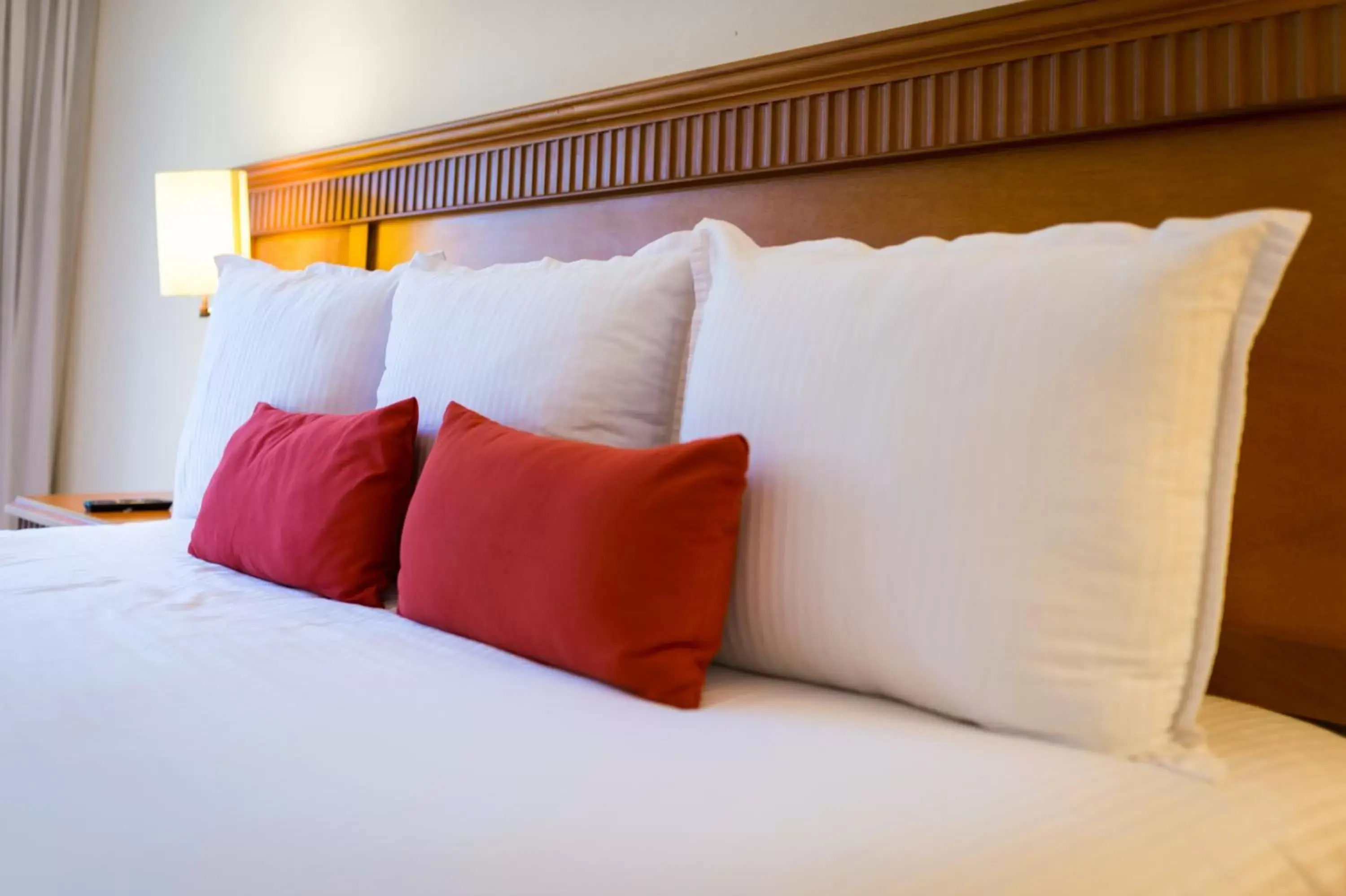 Bed in The Reef Coco Beach Resort & Spa- Optional All Inclusive Bed in The Reef Coco Beach Resort & Spa- Optional All Inclusive