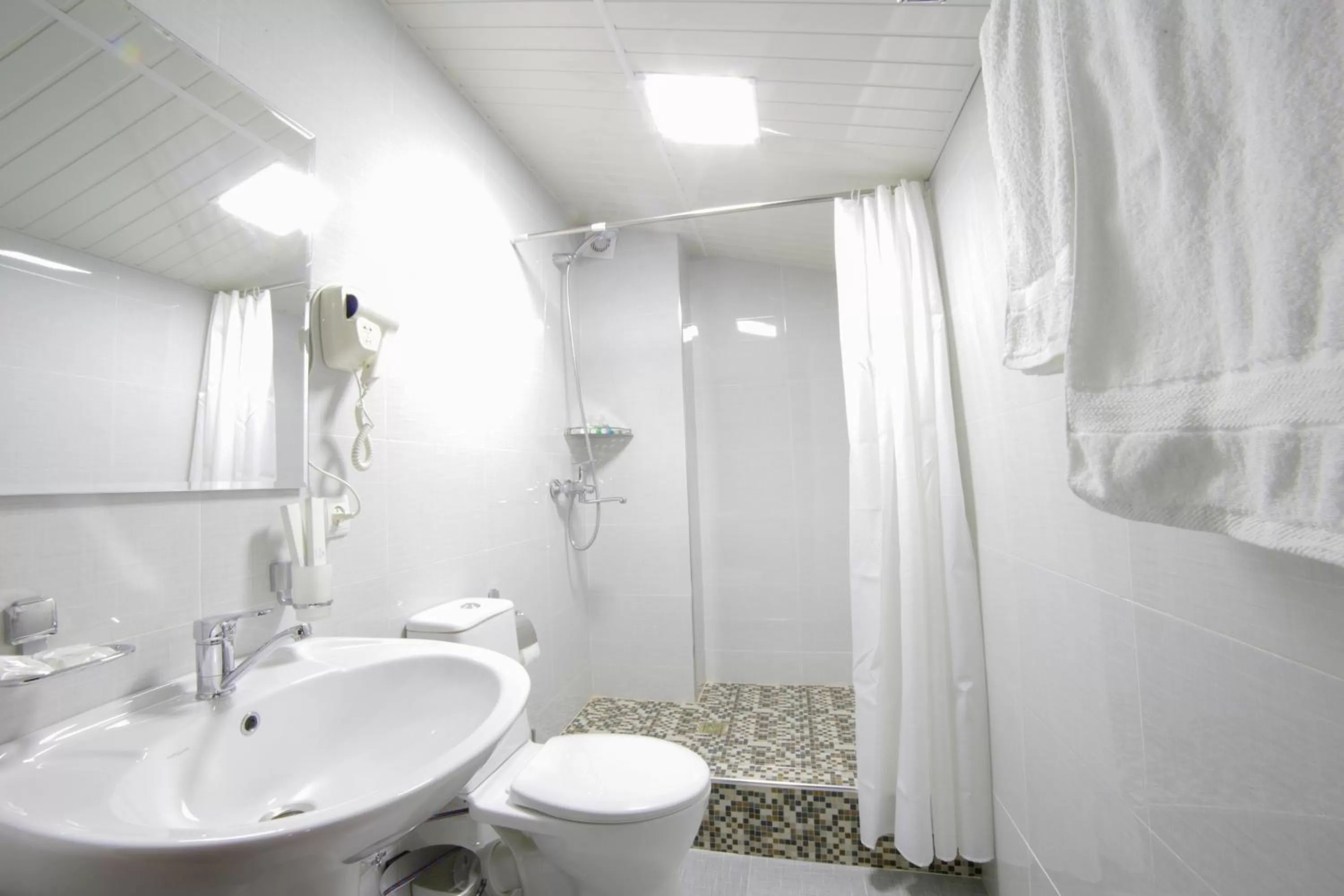 Toilet in Alliance Hotel Tashkent