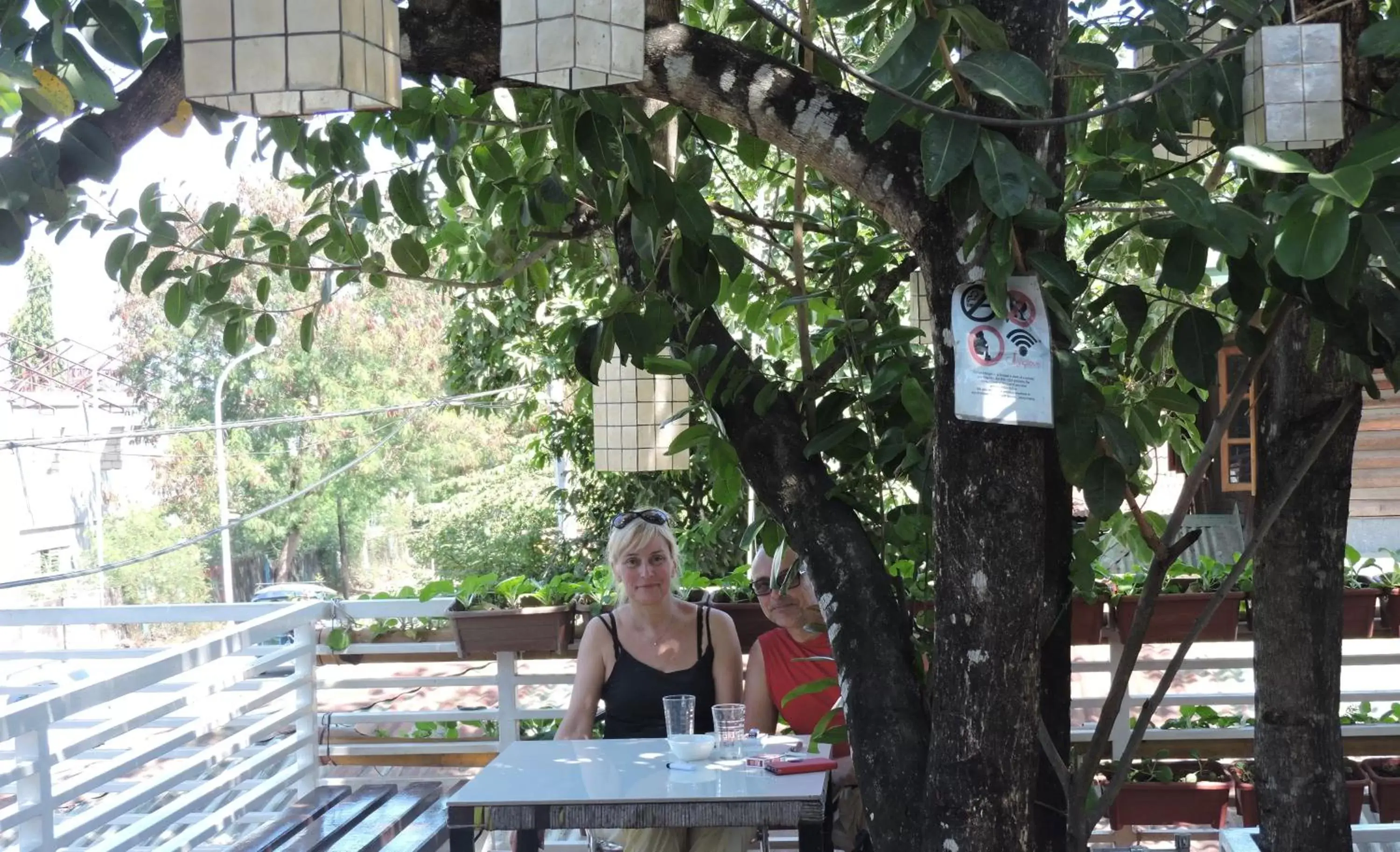 Guests, Restaurant/Places to Eat in Orange Mangrove Pension House