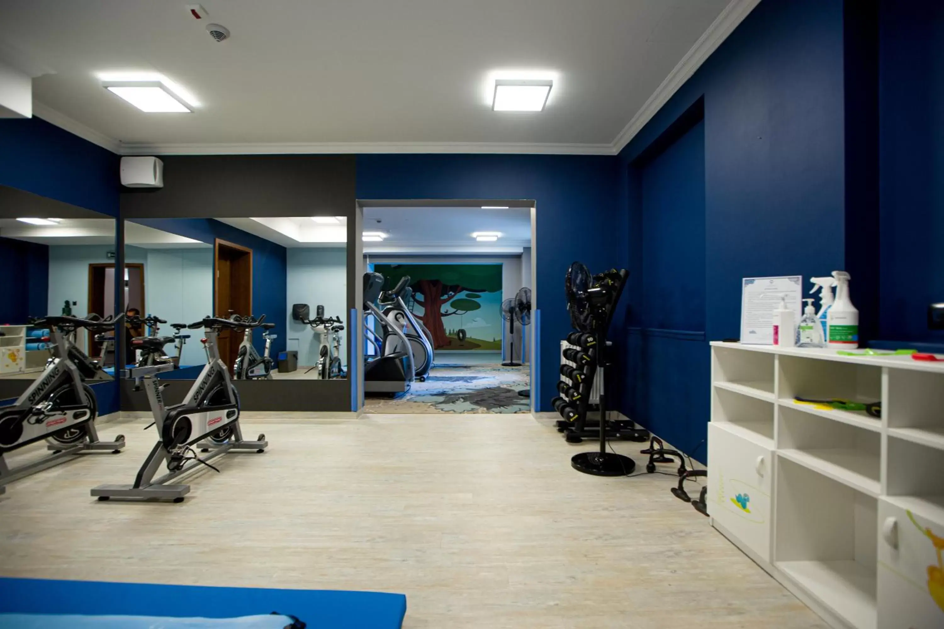 Fitness centre/facilities, Fitness Center/Facilities in Hotel Aubrecht Country Spa Resort
