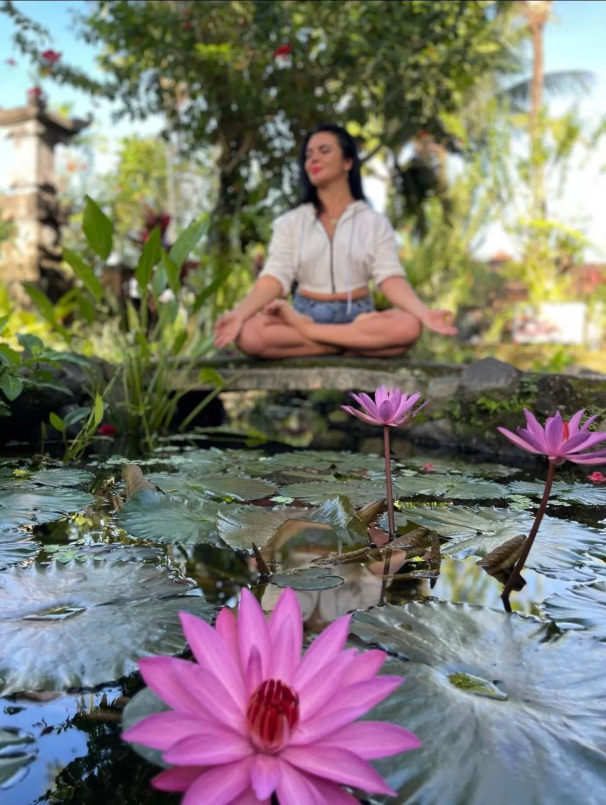 Activities in White House