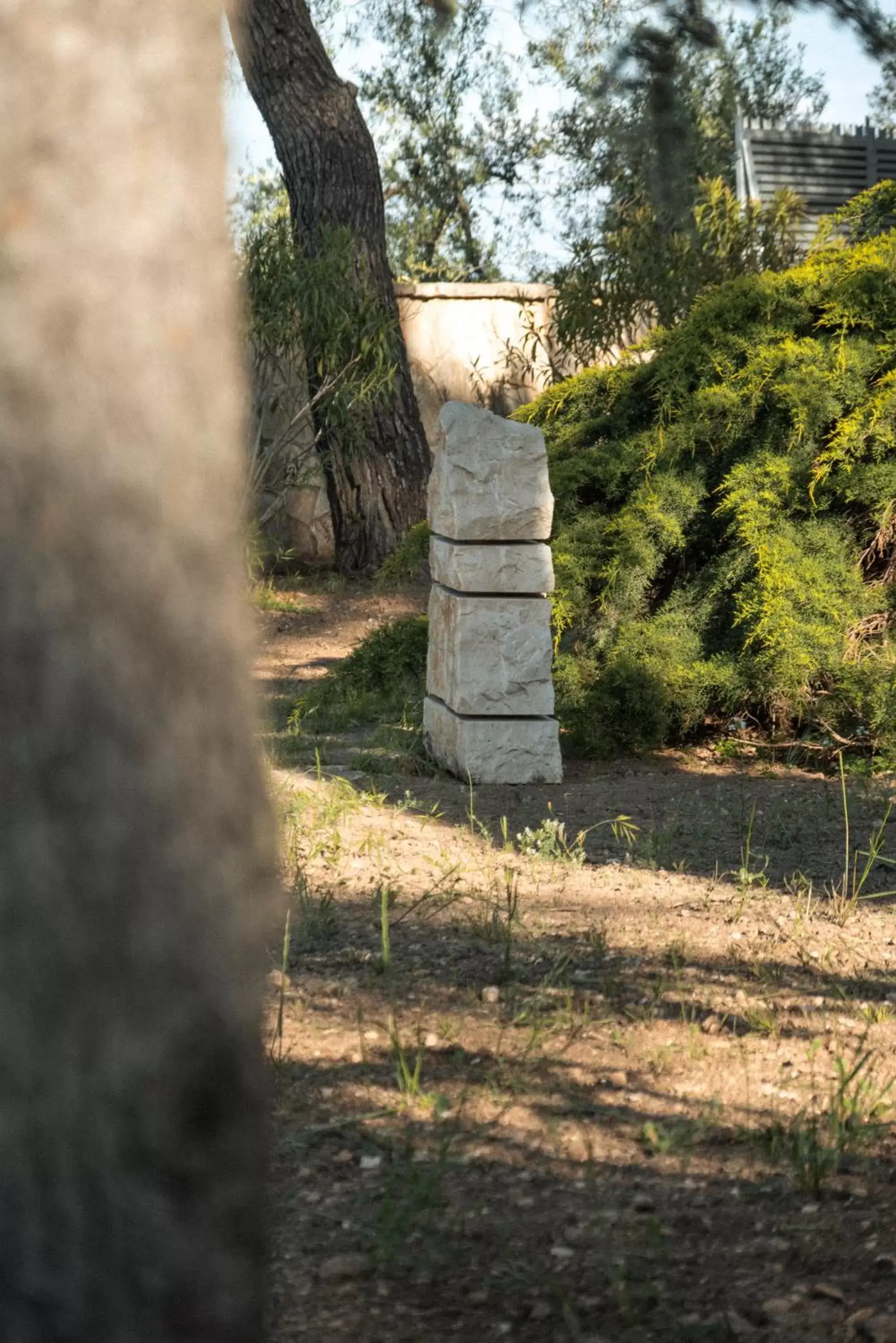 Garden in Otto Apulia House