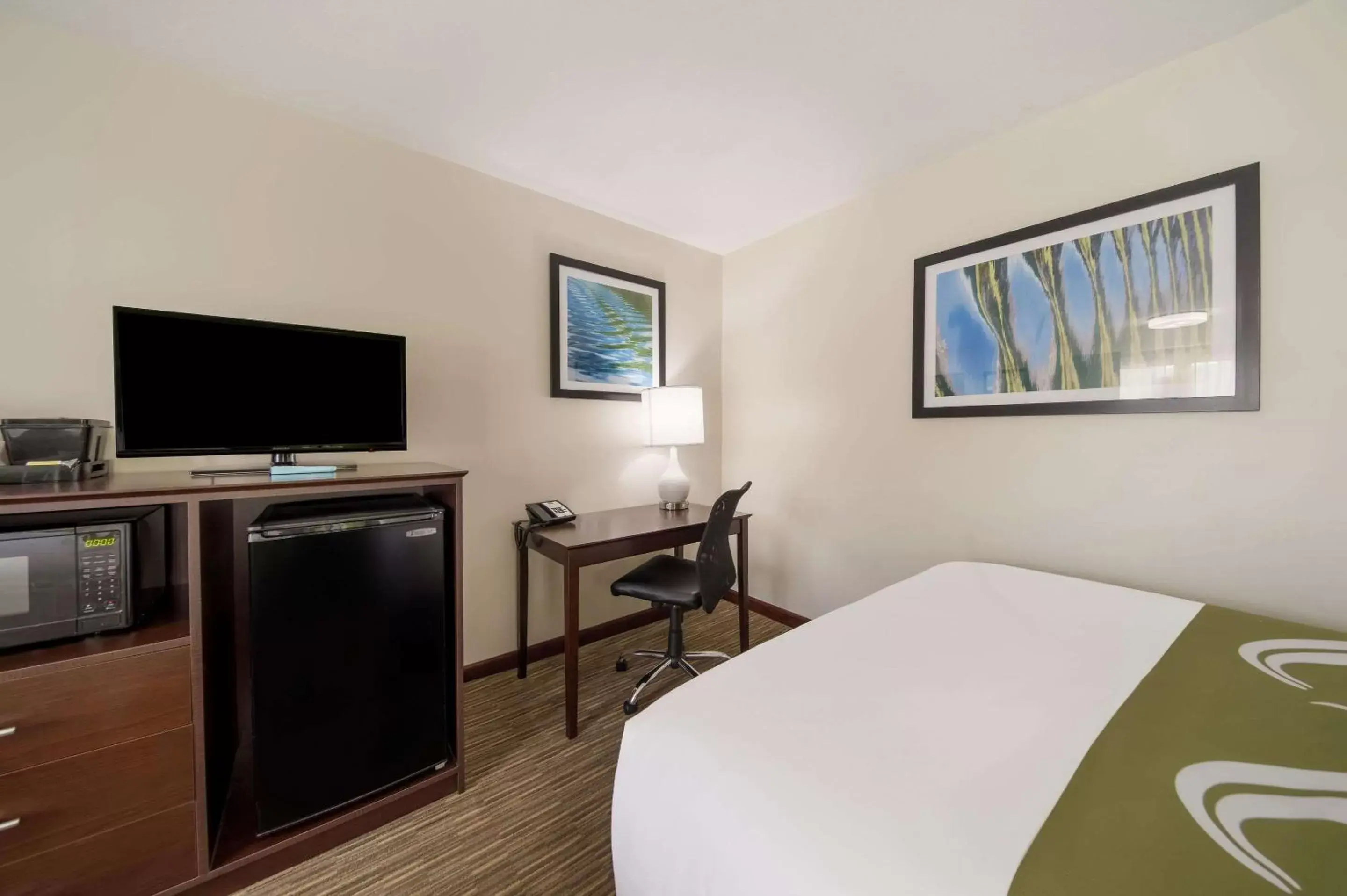 Bedroom, TV/Entertainment Center in Quality Inn