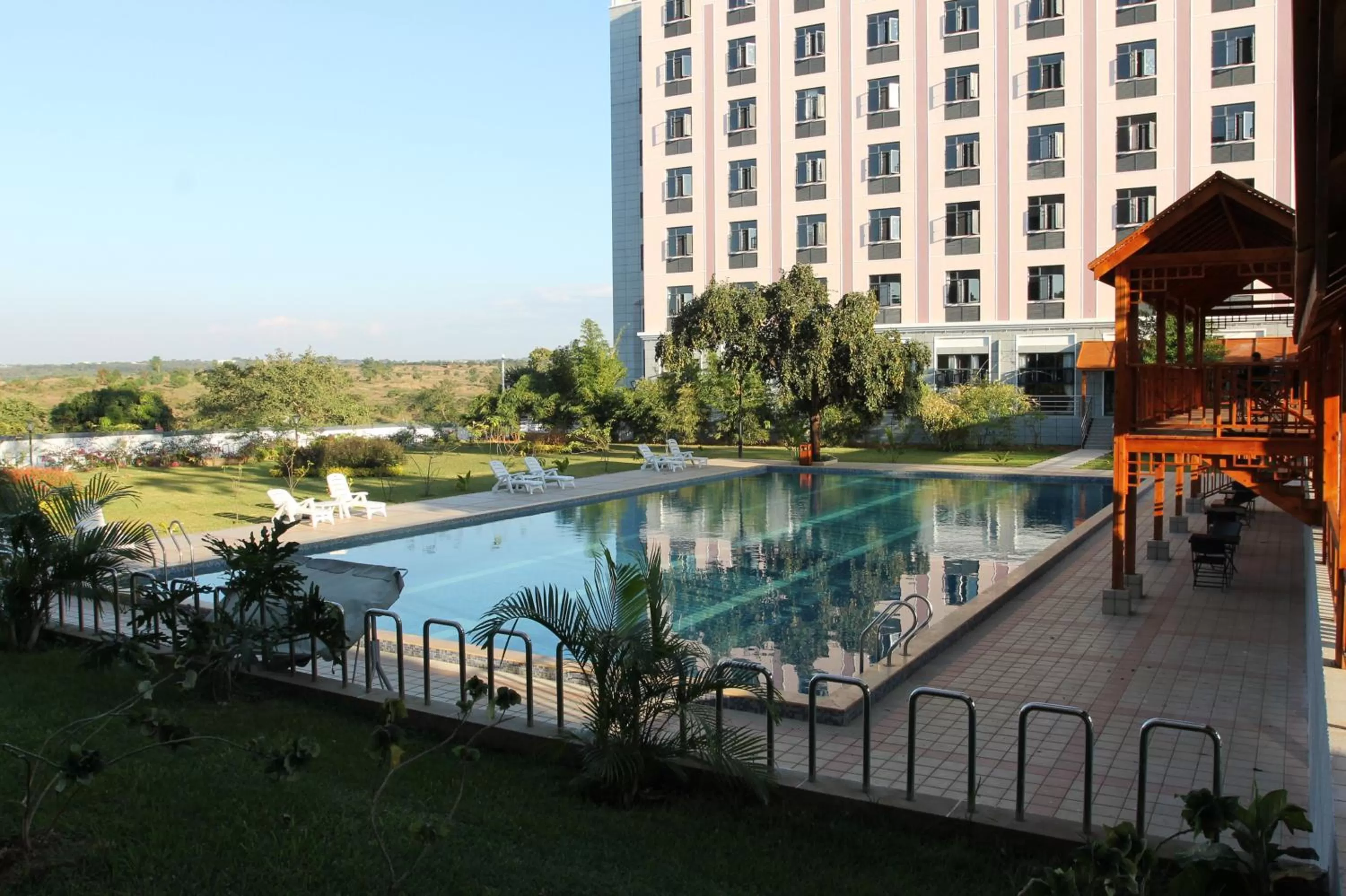  in Sogecoa Golden Peacock